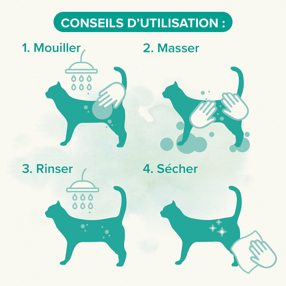 Shampooing Essentiel pour chat - 250 ml