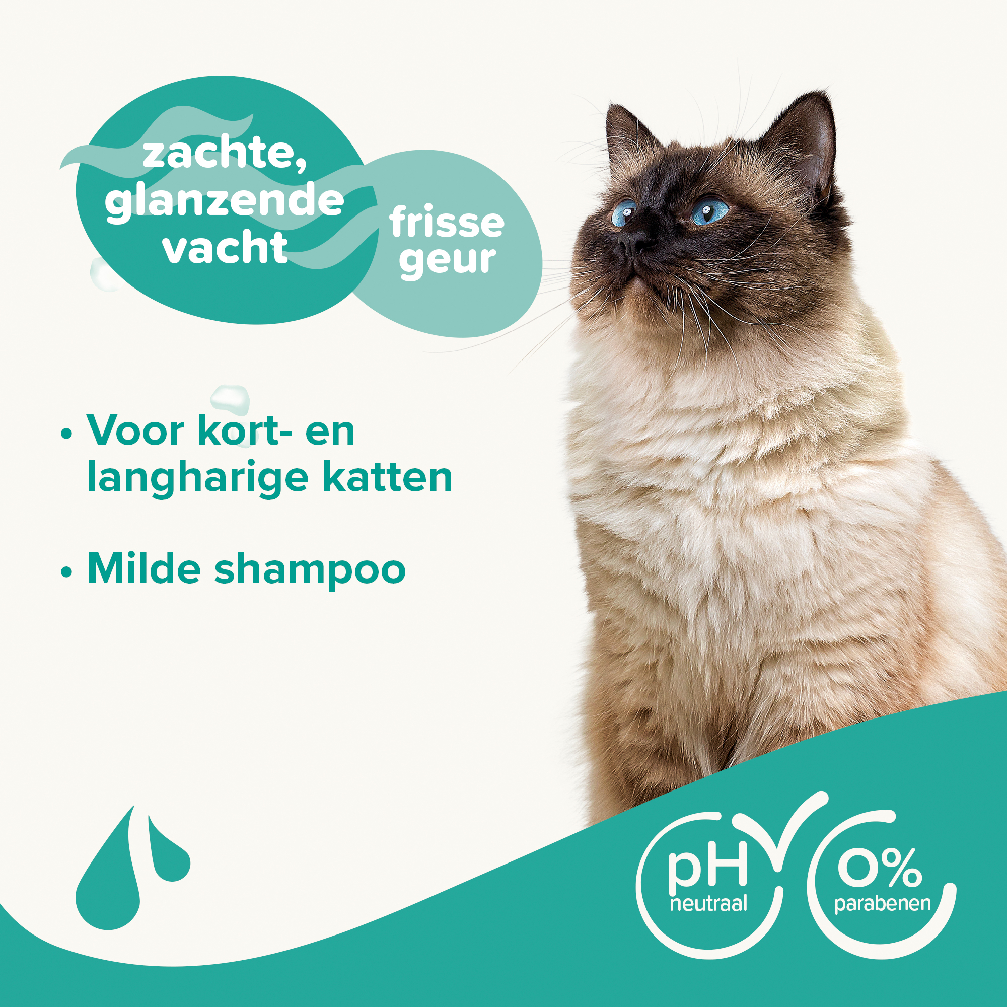 Beaphar Shampoo Kat 250ml