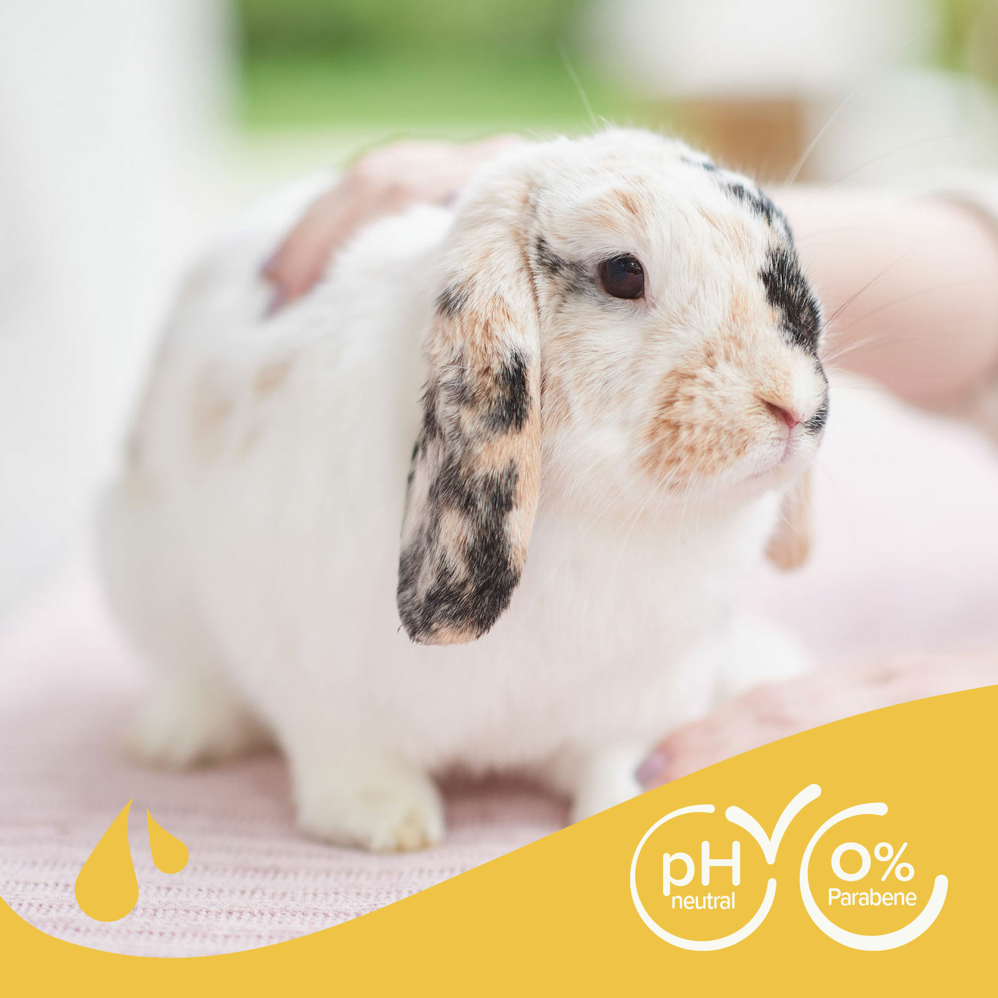 Beaphar Shampoo für Kleintiere, 250ml