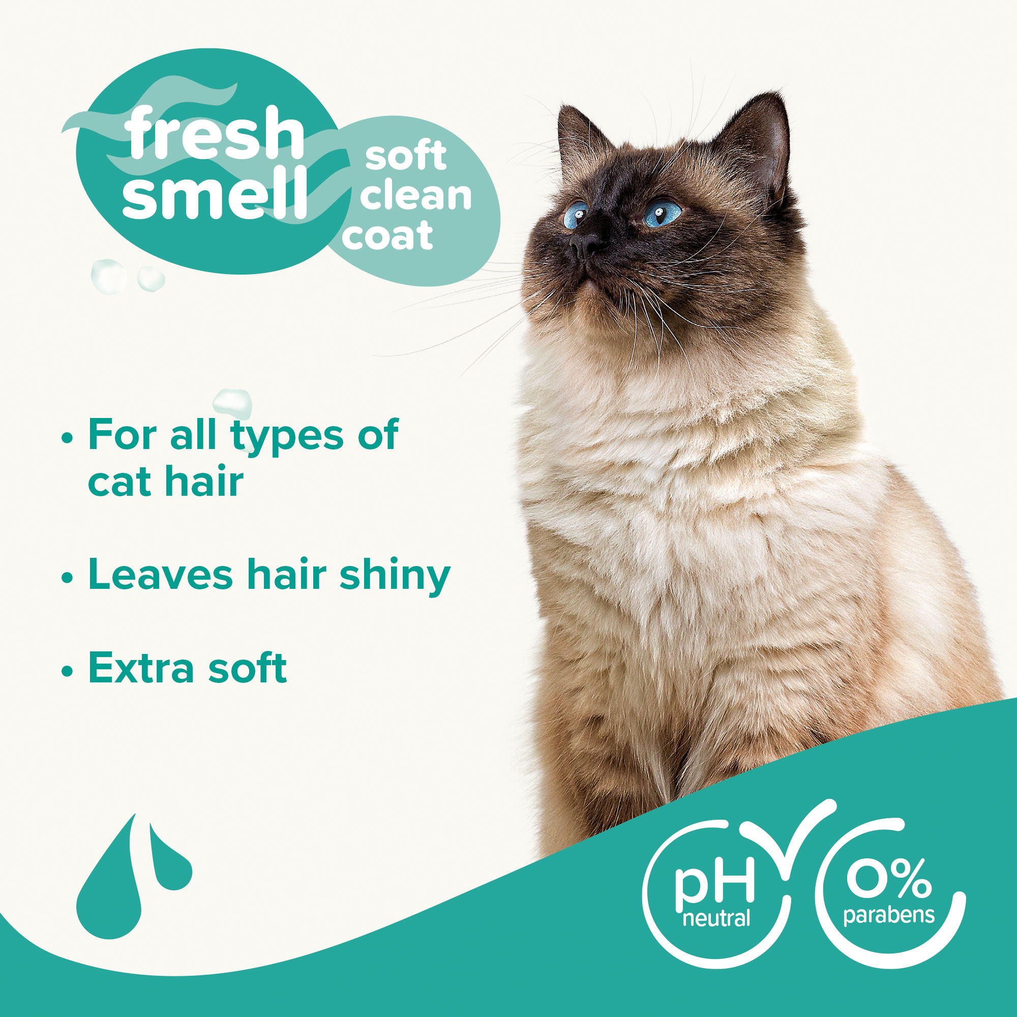 Sampon macskáknak, makadámia olajjal és aloe verával