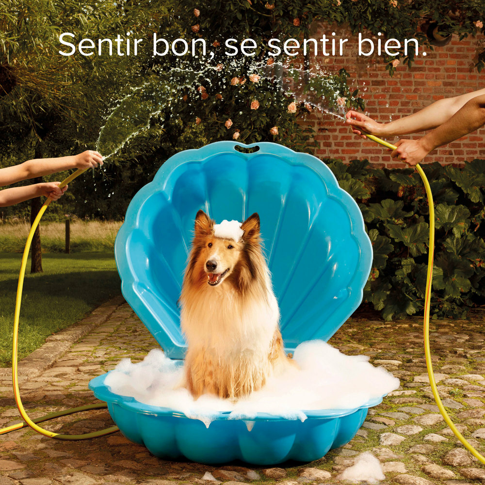 Shampooing Essentiel pour chiot - 250 ml