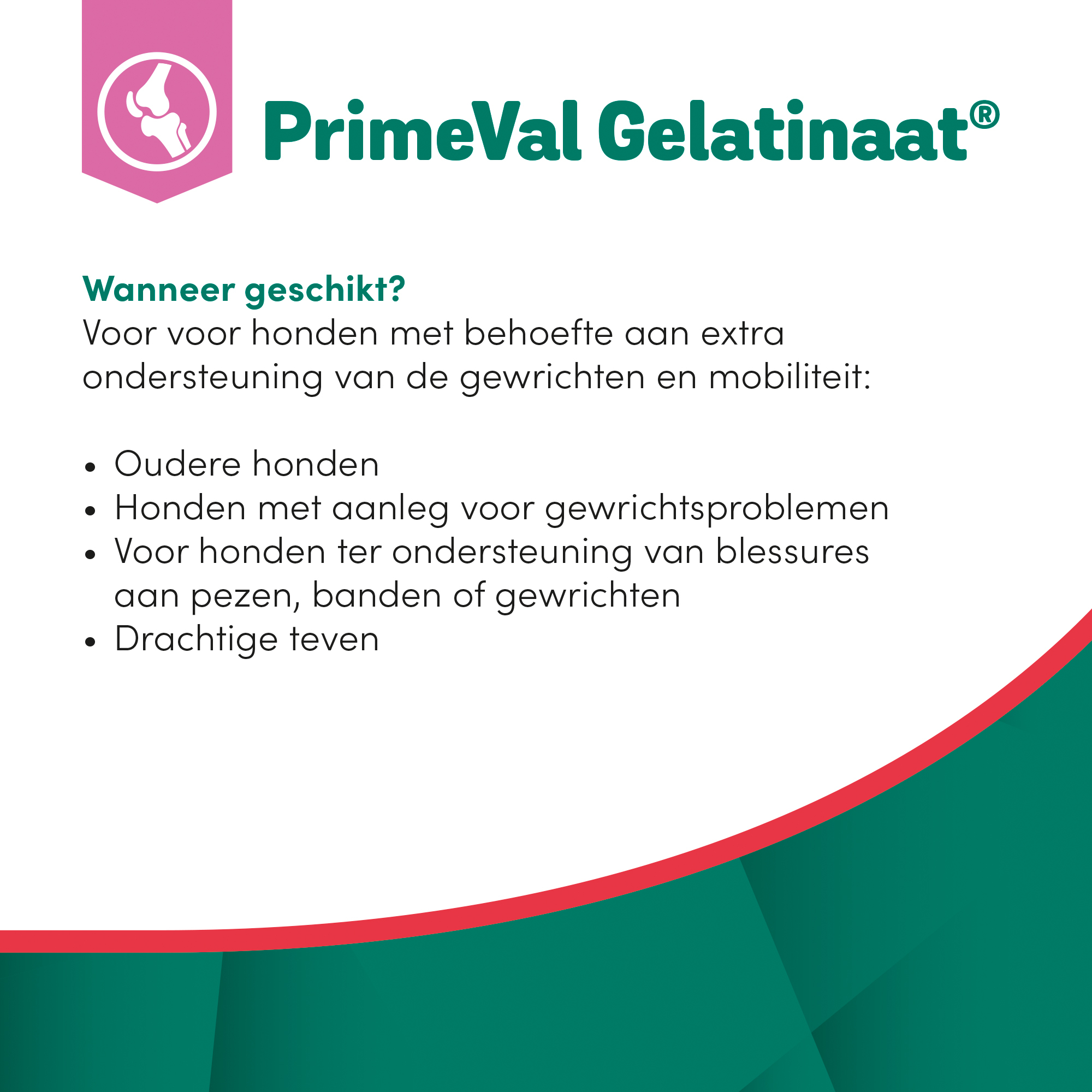 PrimeVal Gelatinaat® hond 500 g