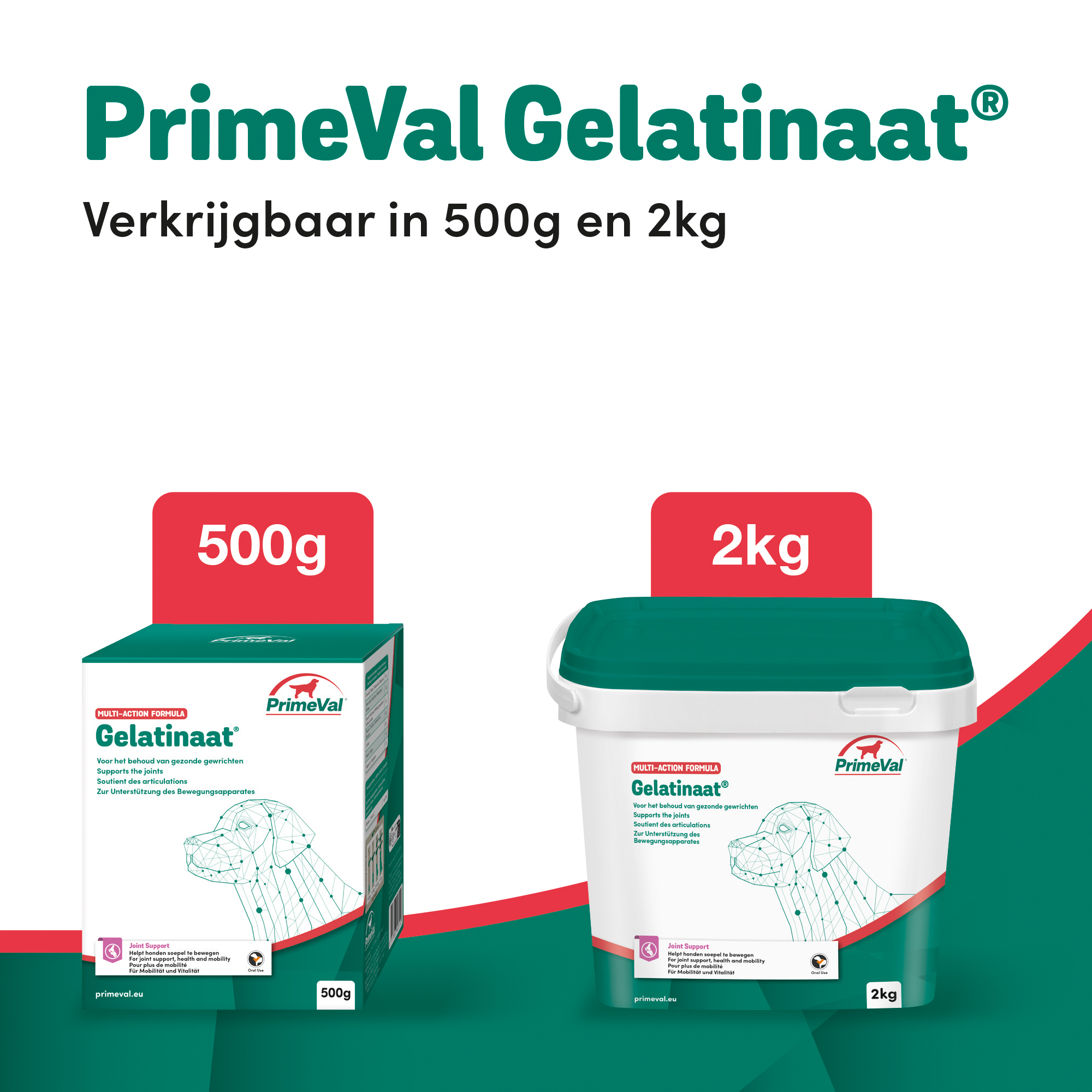 PrimeVal Gelatinaat® hond 500 g