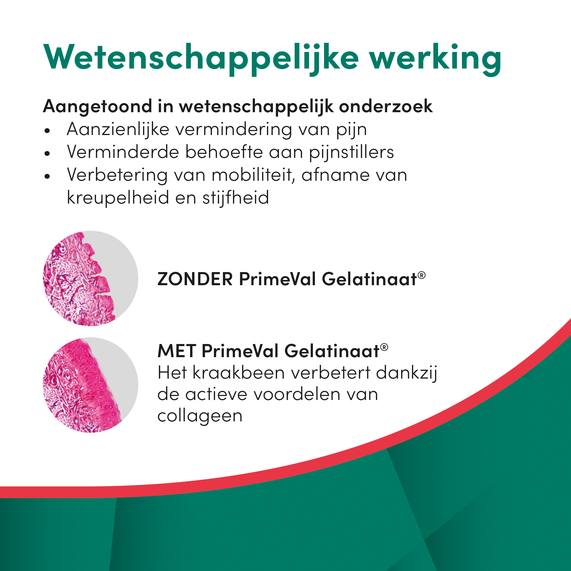 PrimeVal Gelatinaat® hond 500 g