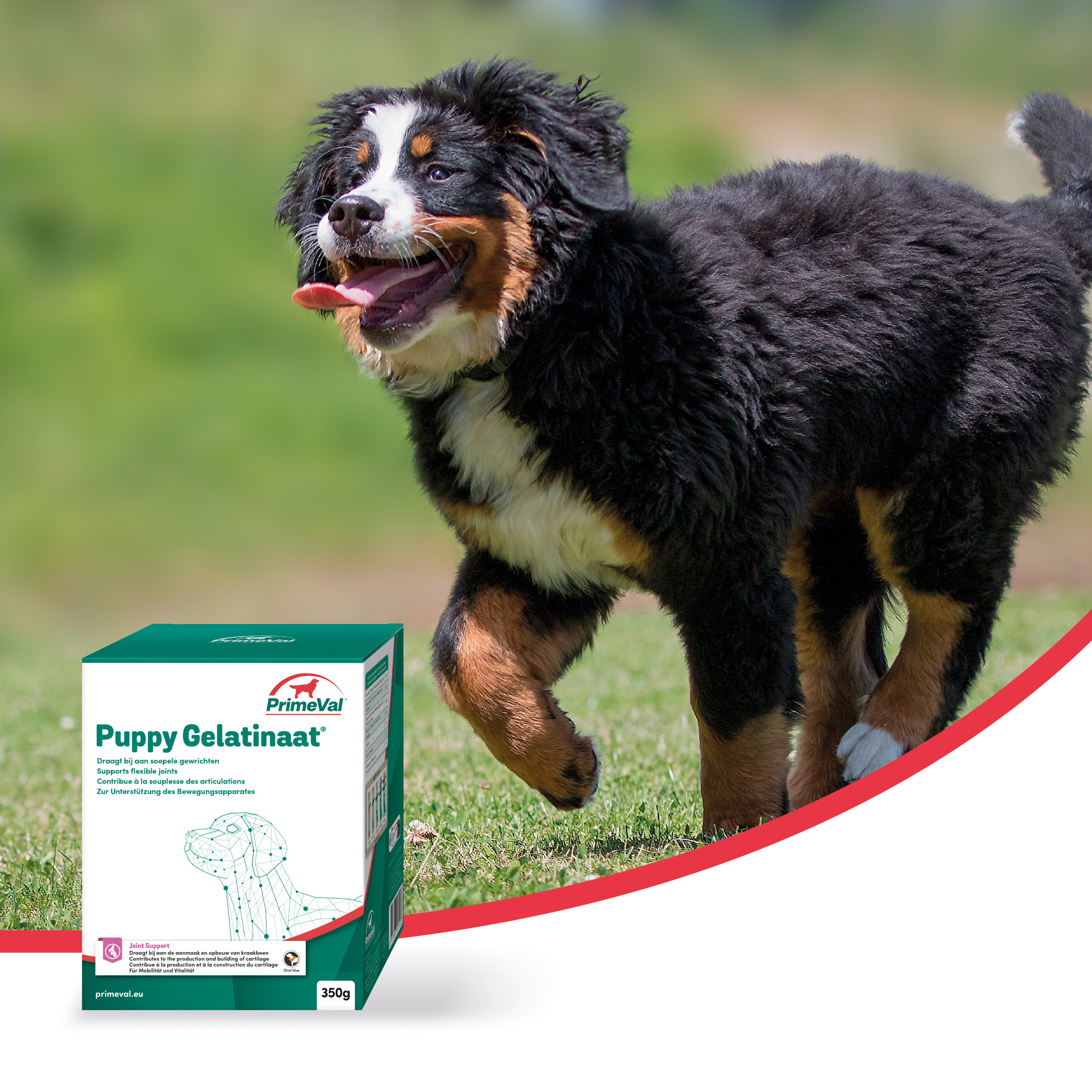 PrimeVal Gelatinaat® Puppy 350 g