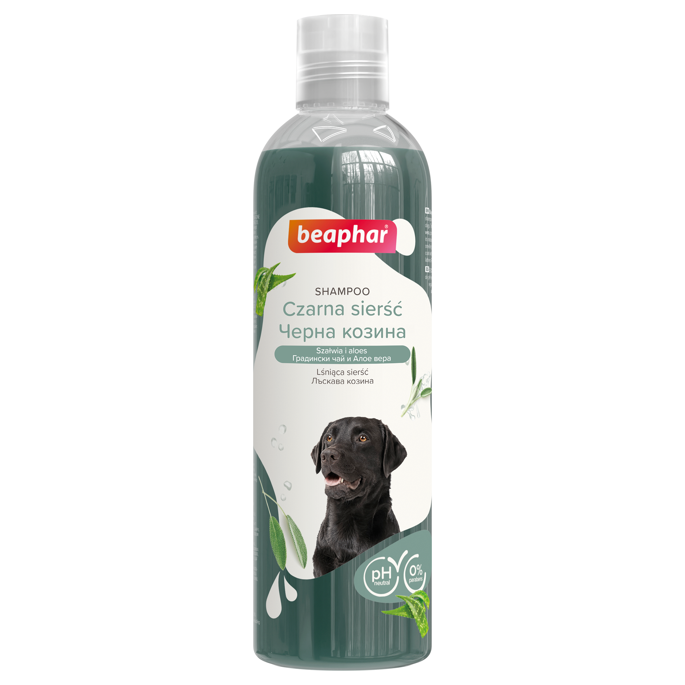 Sampon fekete szőrű kutyáknak zsályával