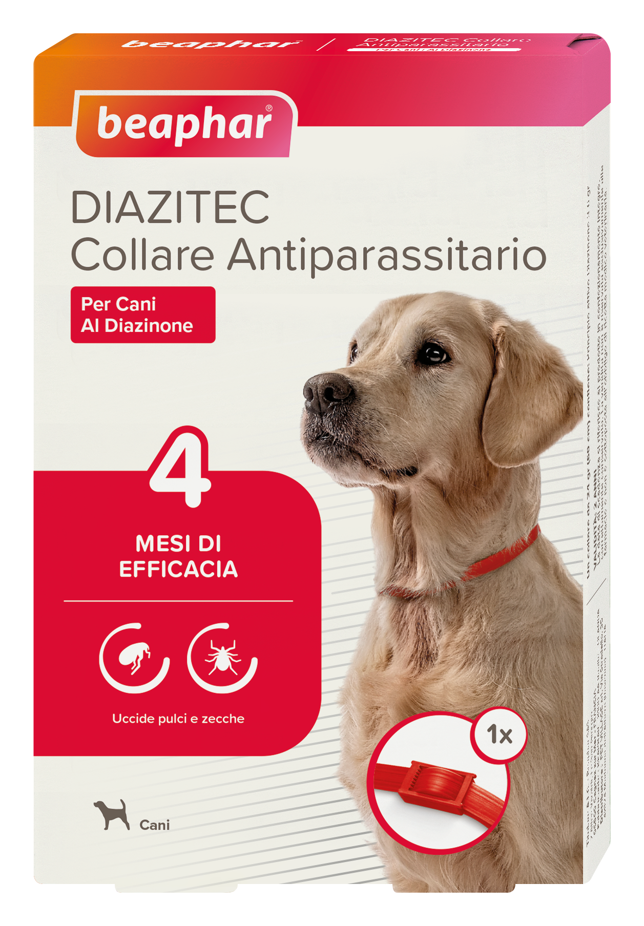 Diazite Collare Cane rosso
