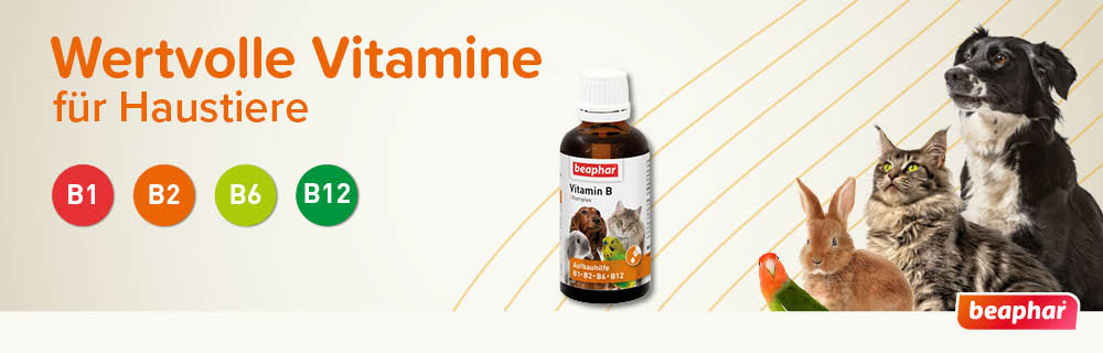 Vitamin-B Komplex, 50ml - Beaphar