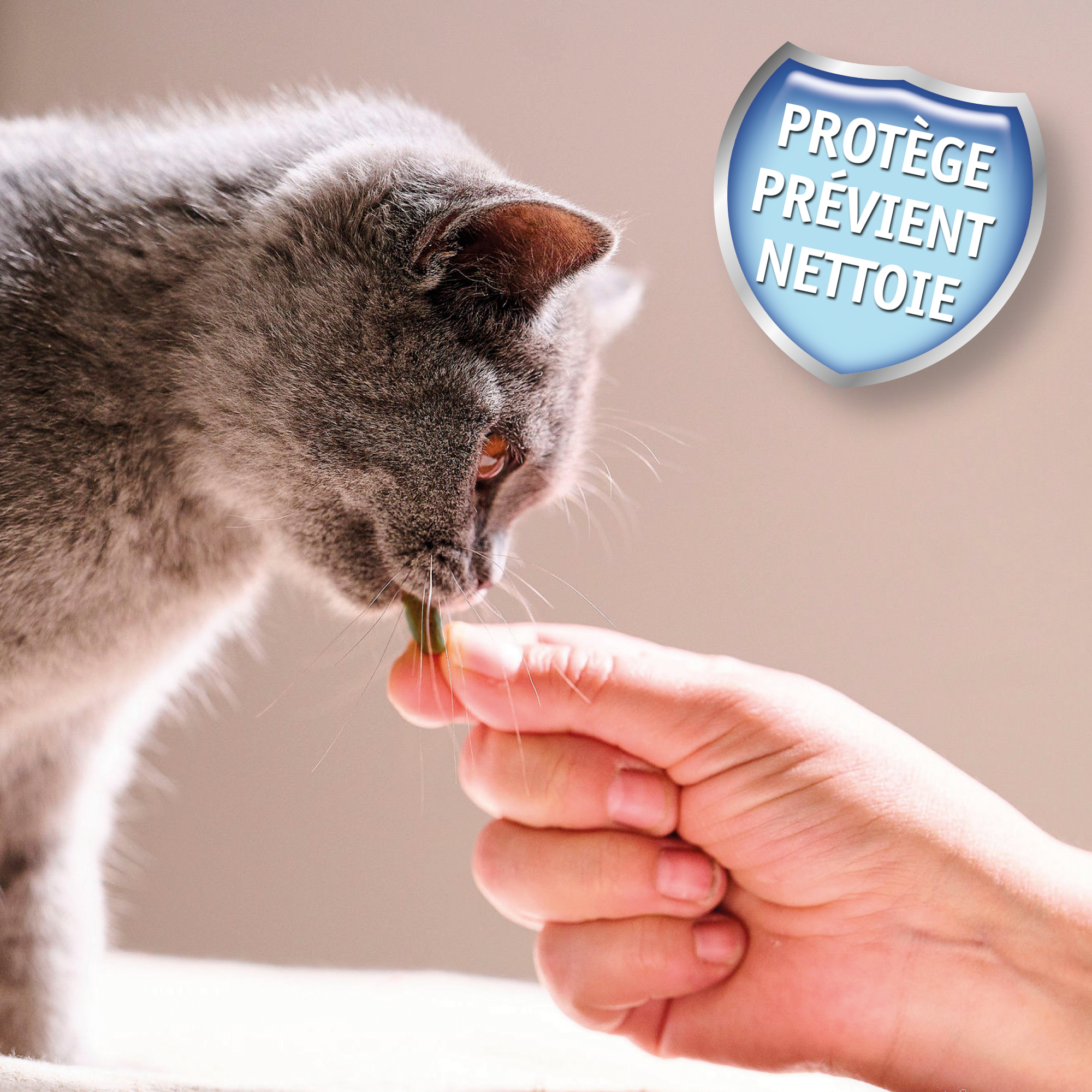 Friandises dentaires