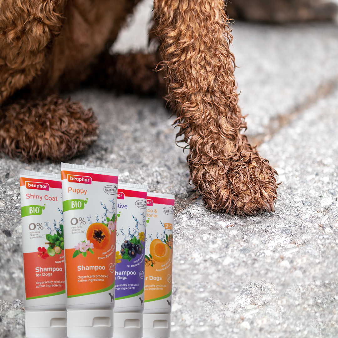 Bio organikus sampon kutyáknak hibiszkusszal