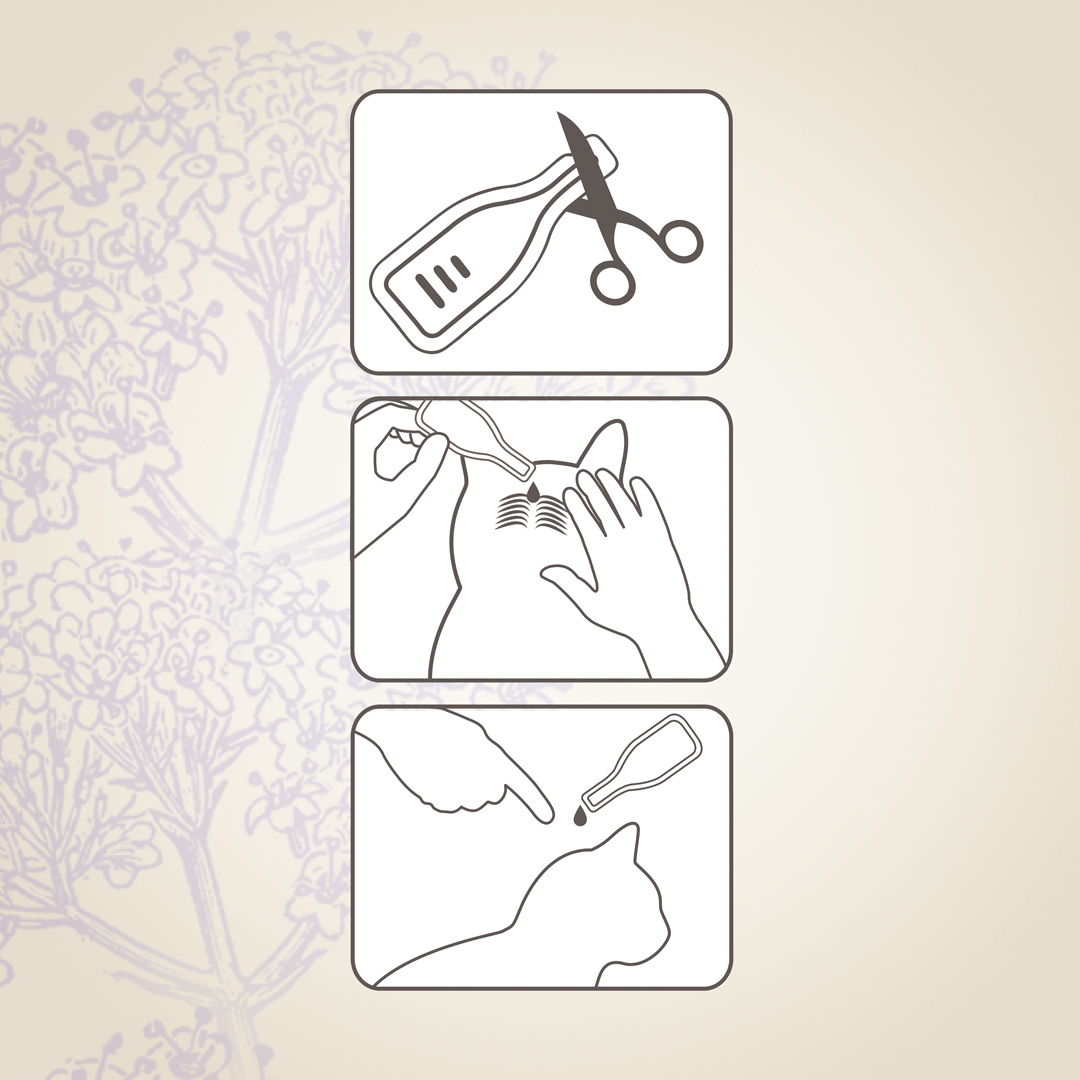 Beaphar Calming Spot On katt