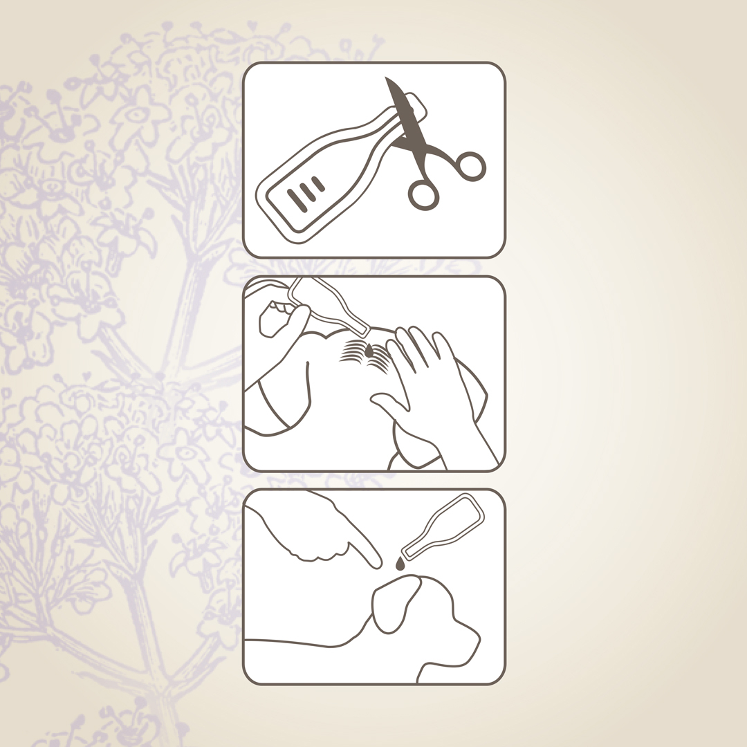 Beaphar Calming Spot On hund