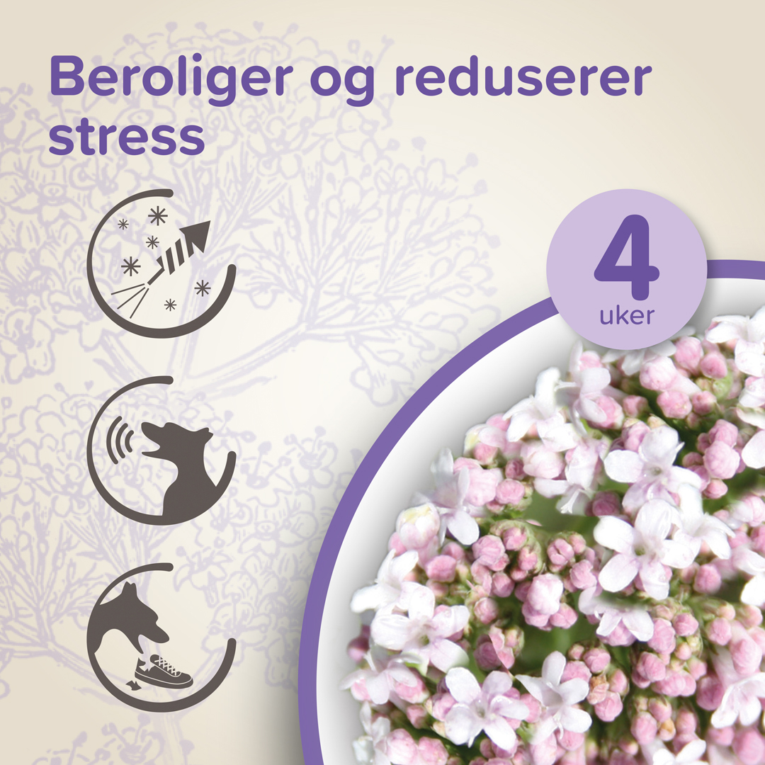 Beaphar Calming Diffuser sett hund
