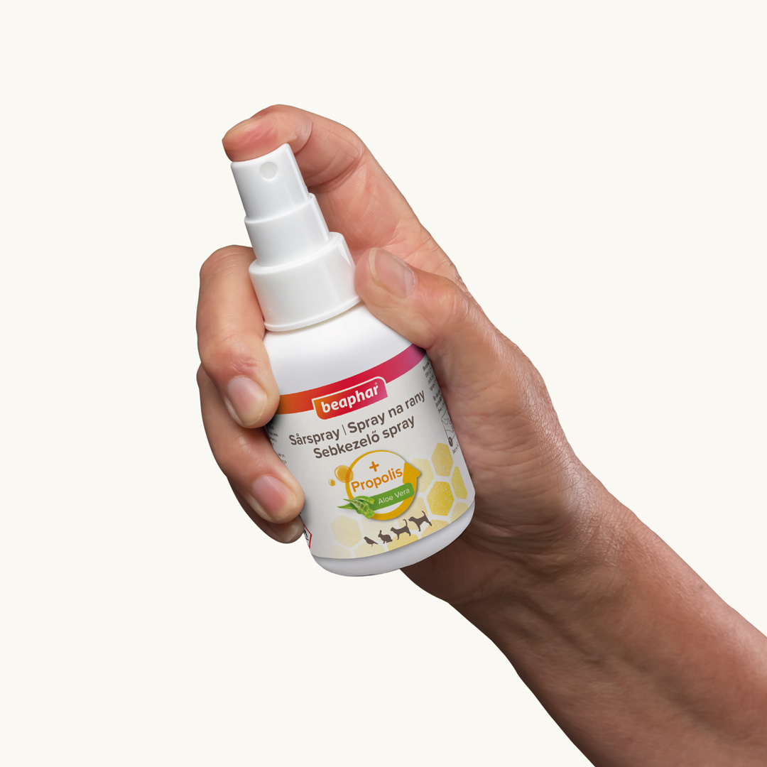 Sebkezelő spray