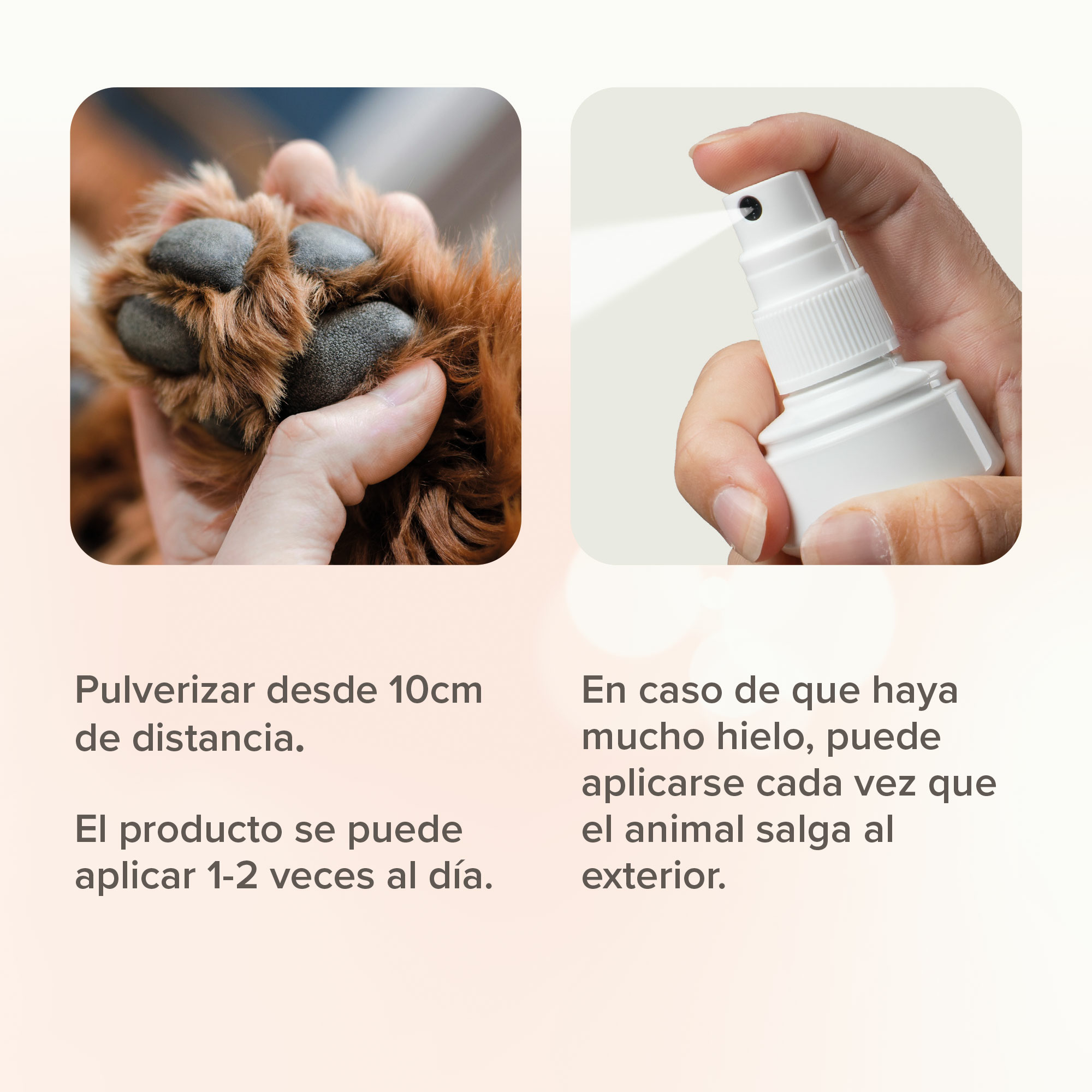Spray Protector Almohadillas 150ml