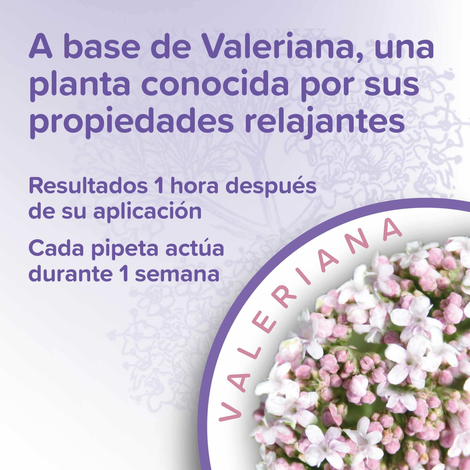 Beaphar Calming Spot On - Pipetas Calmantes para Perro - 3 x 0.7ml