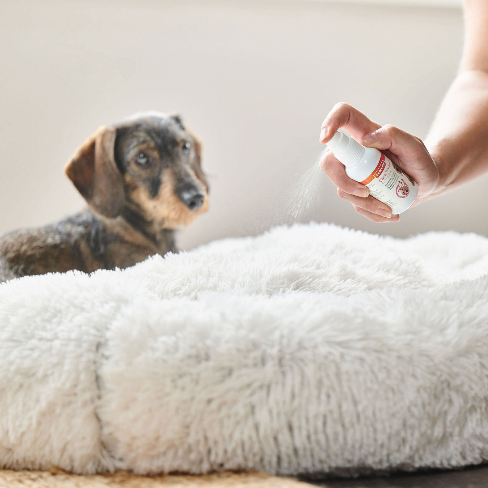 Beaphar CaniComfort® Spray Perros - 60ml