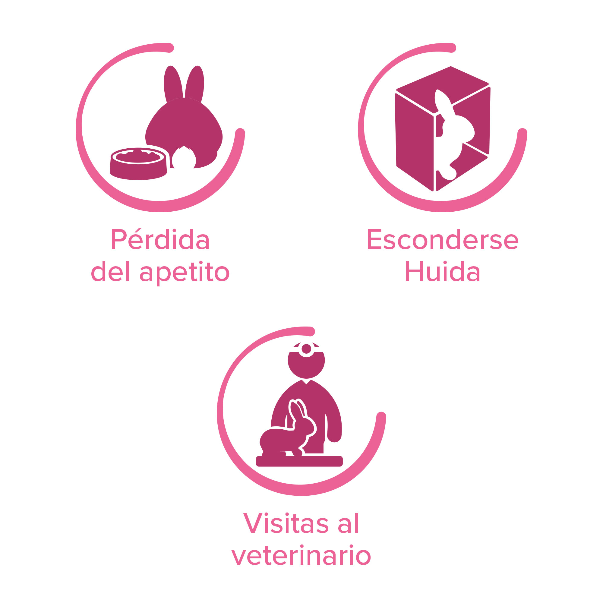 Beaphar RabbitComfort® Spray Conejos - 30ml