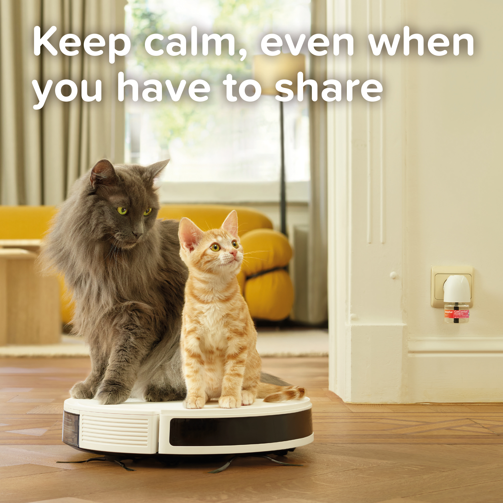 CatComfort® Excellence uklidňující difuzér sada