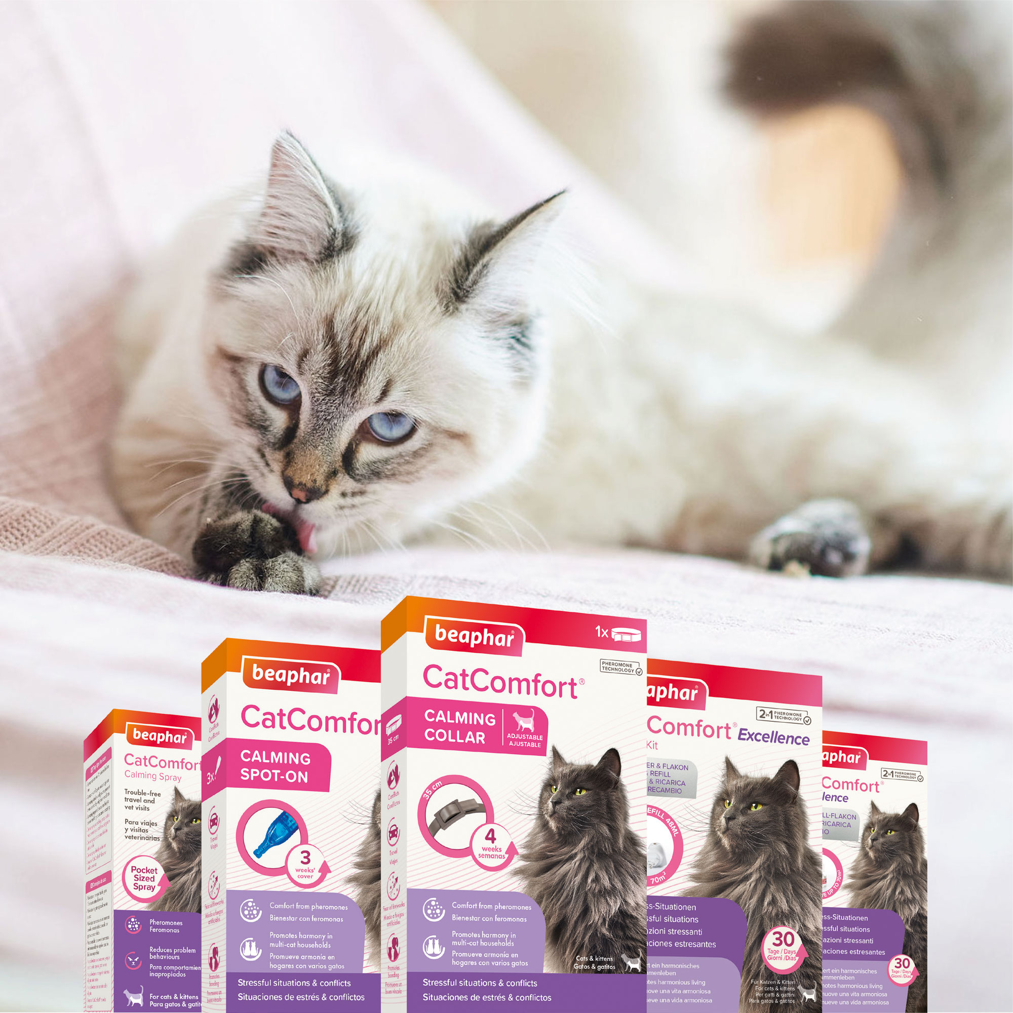 Beaphar CatComfort® Pipetas Feromonas Gatos - x3