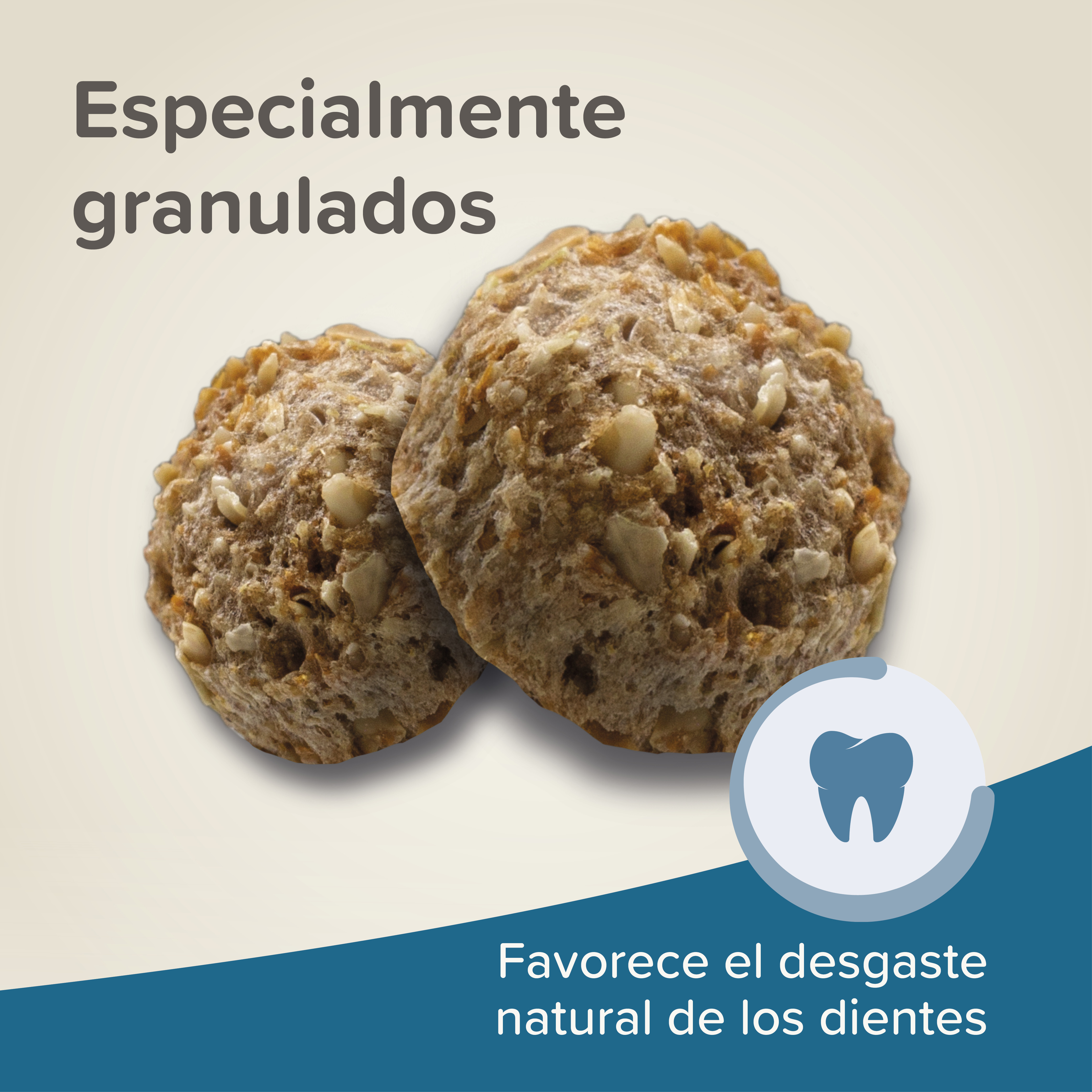 Beaphar Care+ Conejo - 5kg