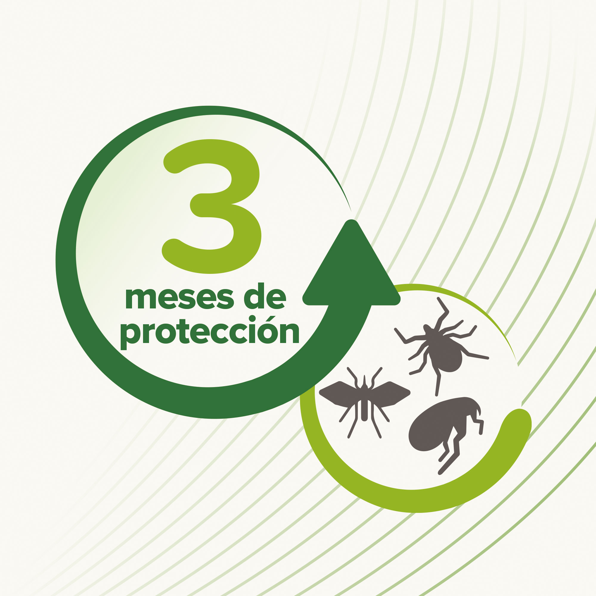 Beaphar Collar Repelente Gato - 35cm