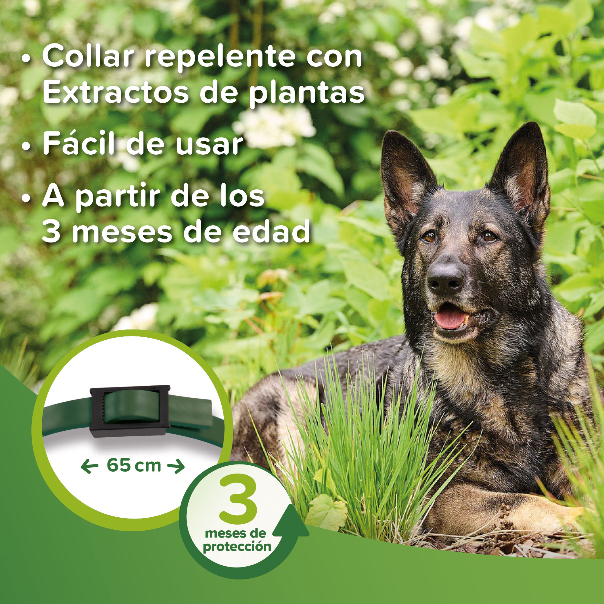 Beaphar Collar Repelente Perro - 65 cm
