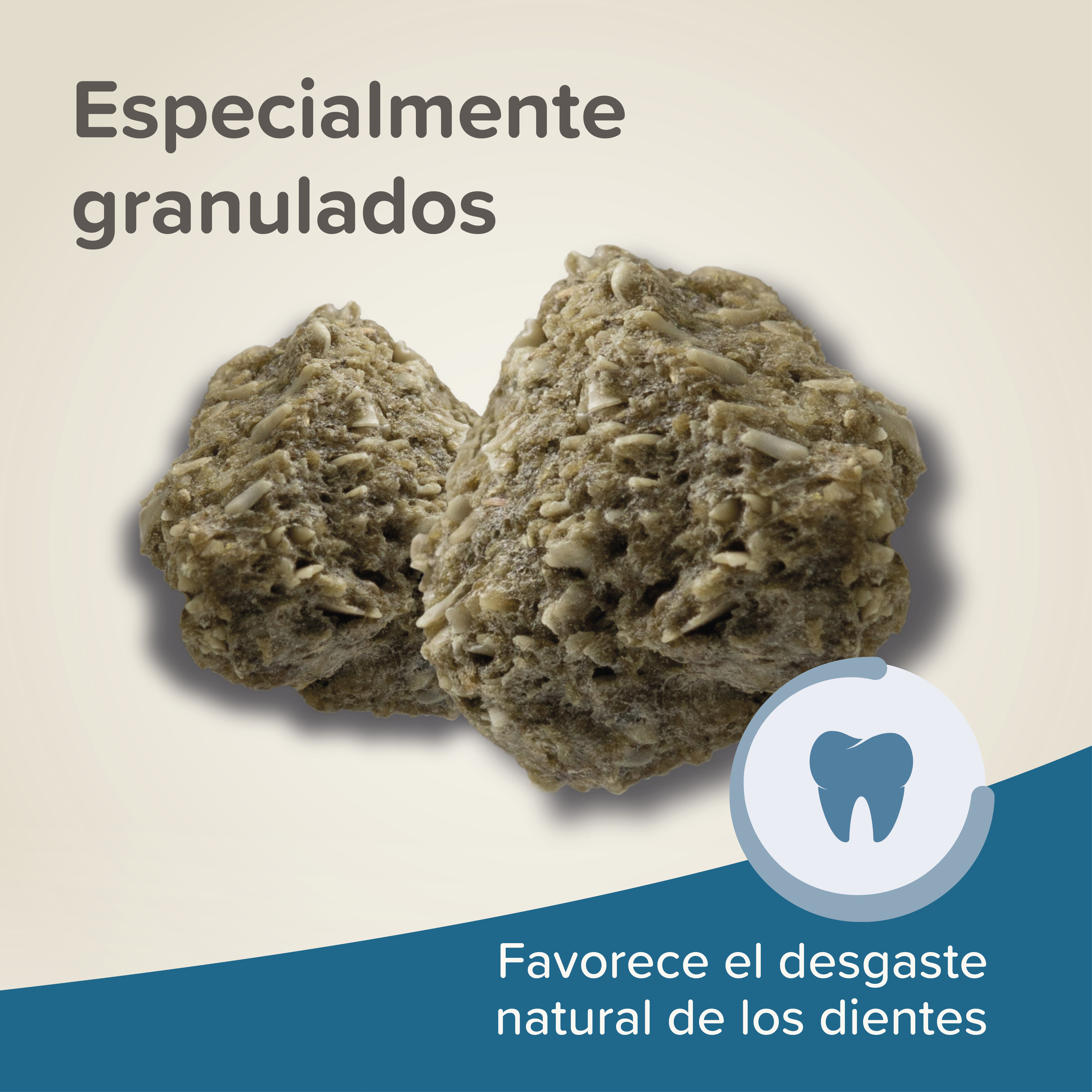 Beaphar Care+ Degú - 700g