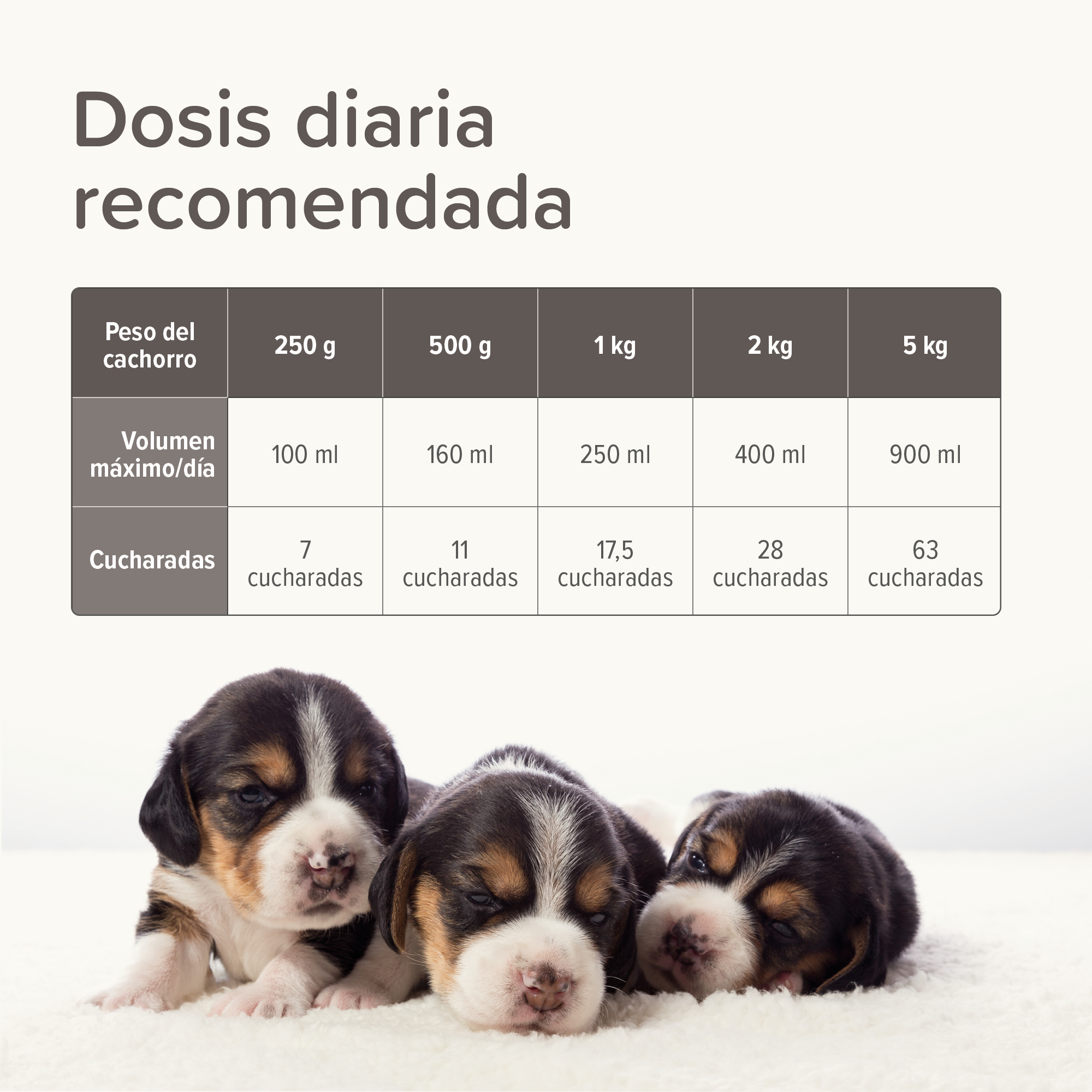 Beaphar Lactol - Leche de  sustitución Cachorros - 500g