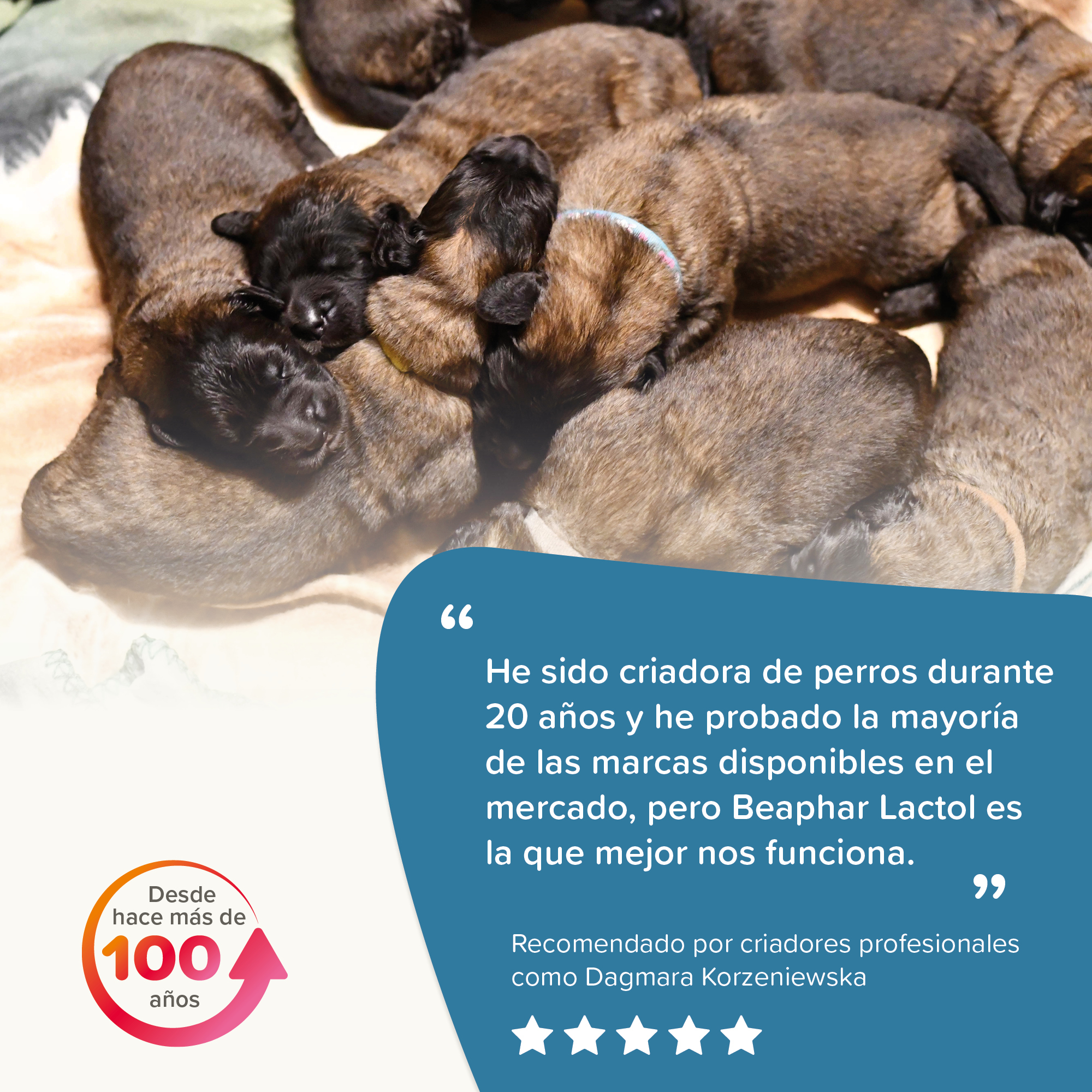 Beaphar Lactol - Leche de  sustitución Cachorros - 500g