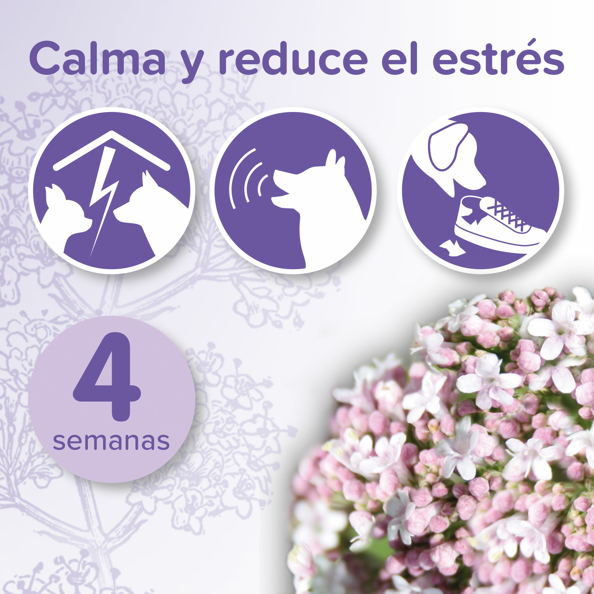 Beaphar No Stress Perro Recambio de Difusor - 30ml