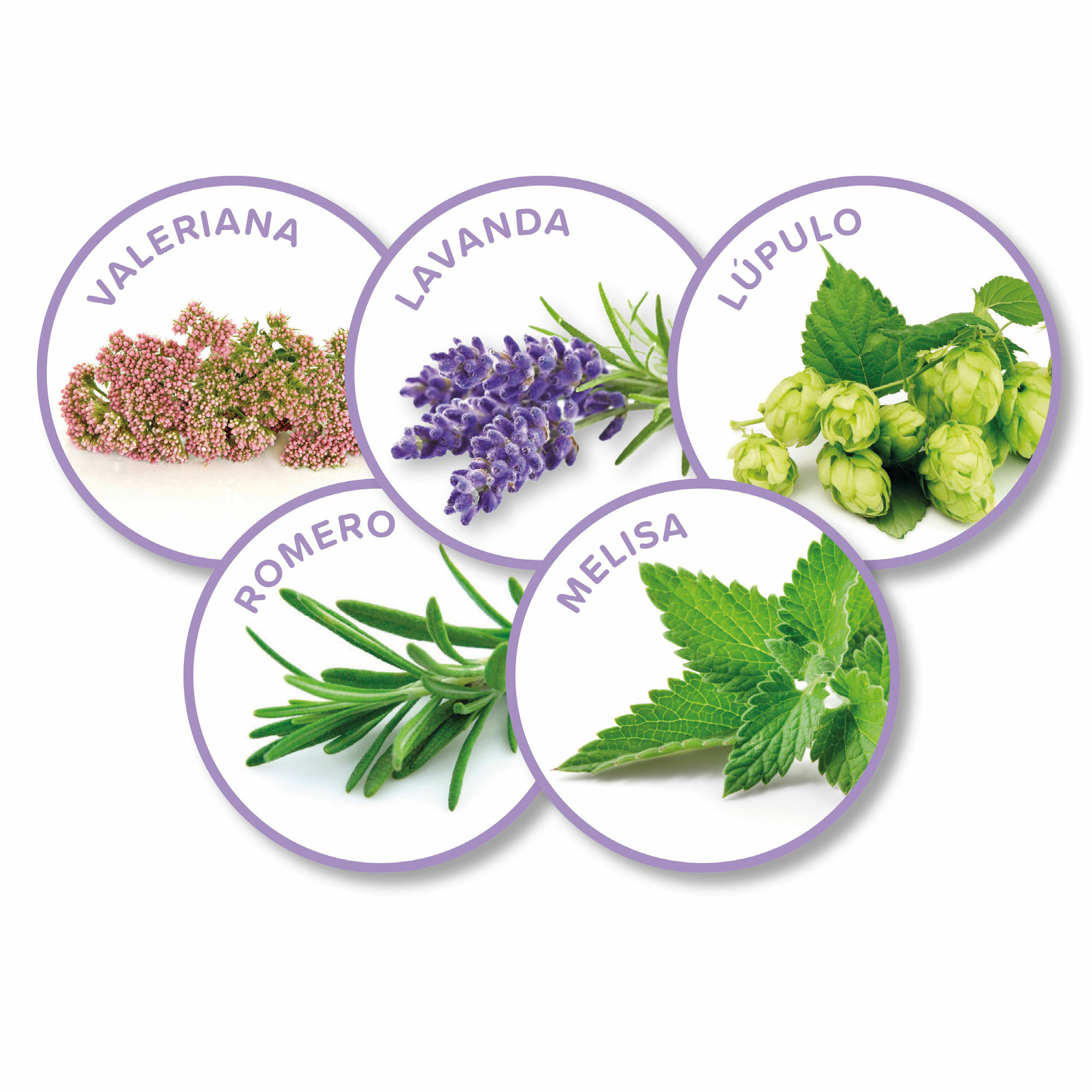 Beaphar No Stress Perro Recambio de Difusor - 30ml