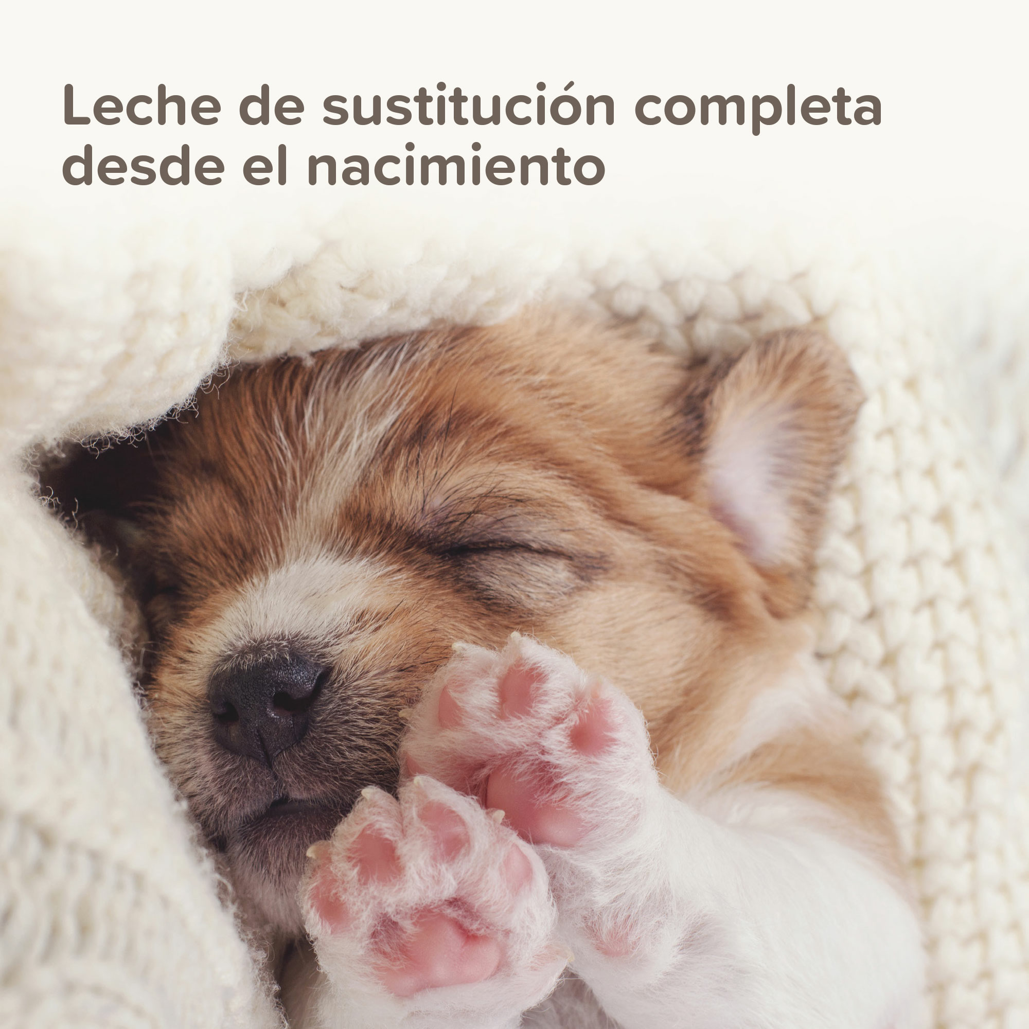 Lactol Puppy Milk Leche En Polvo 250g