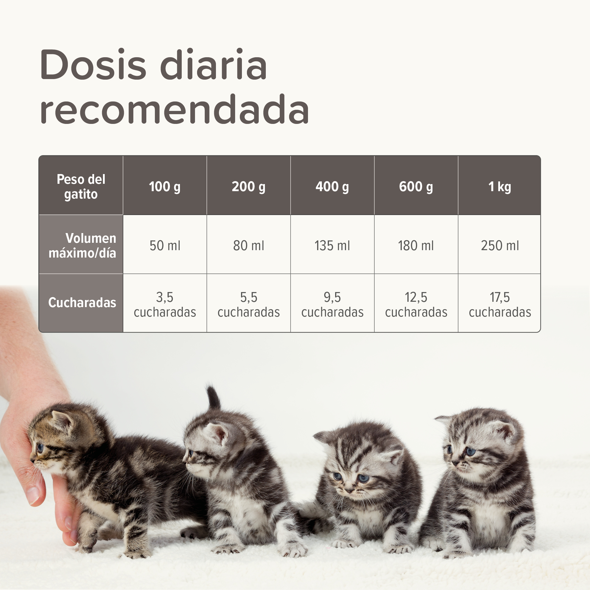 Lactol Kitten Milk Leche En Polvo 250g