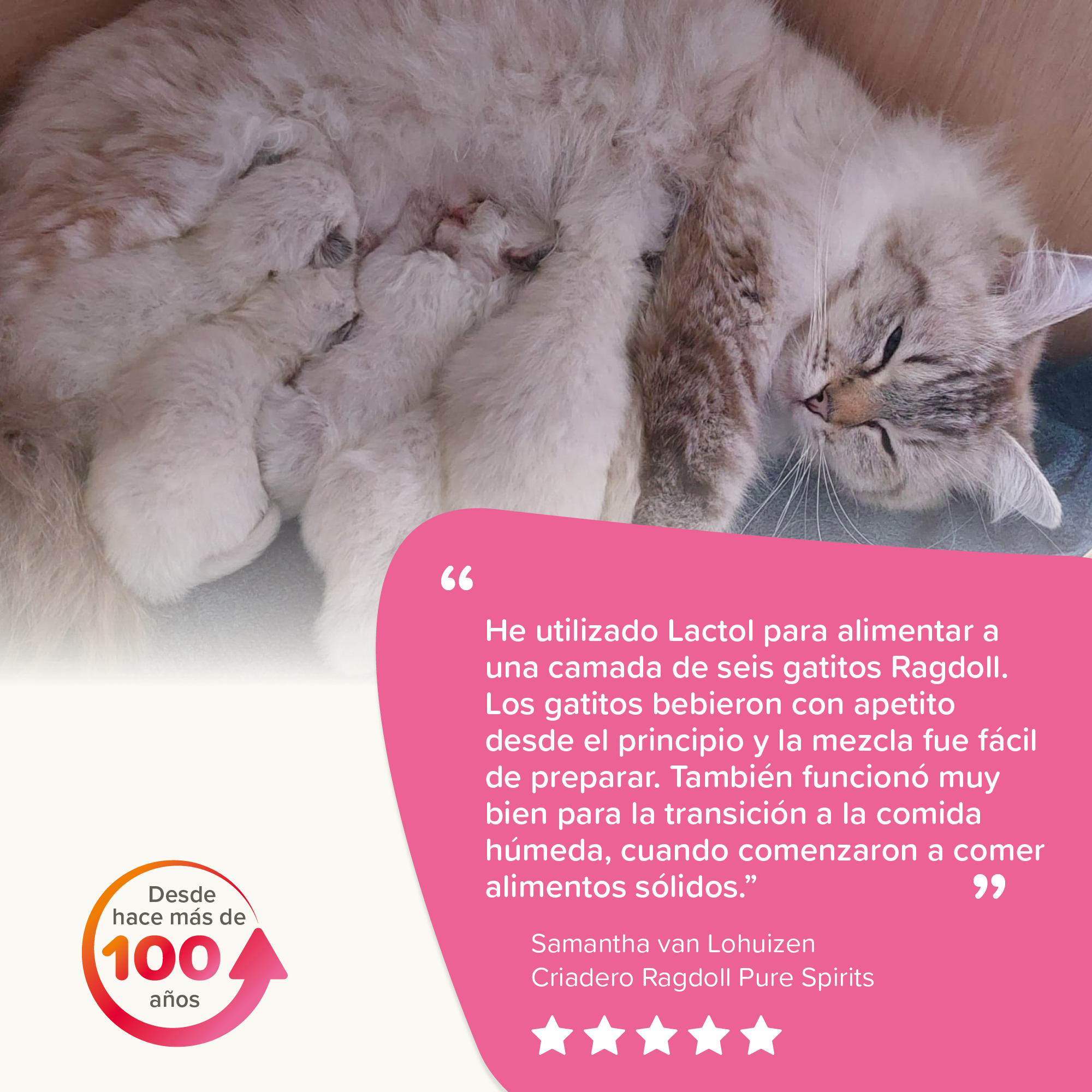 Lactol Kitten Milk Leche En Polvo 250g