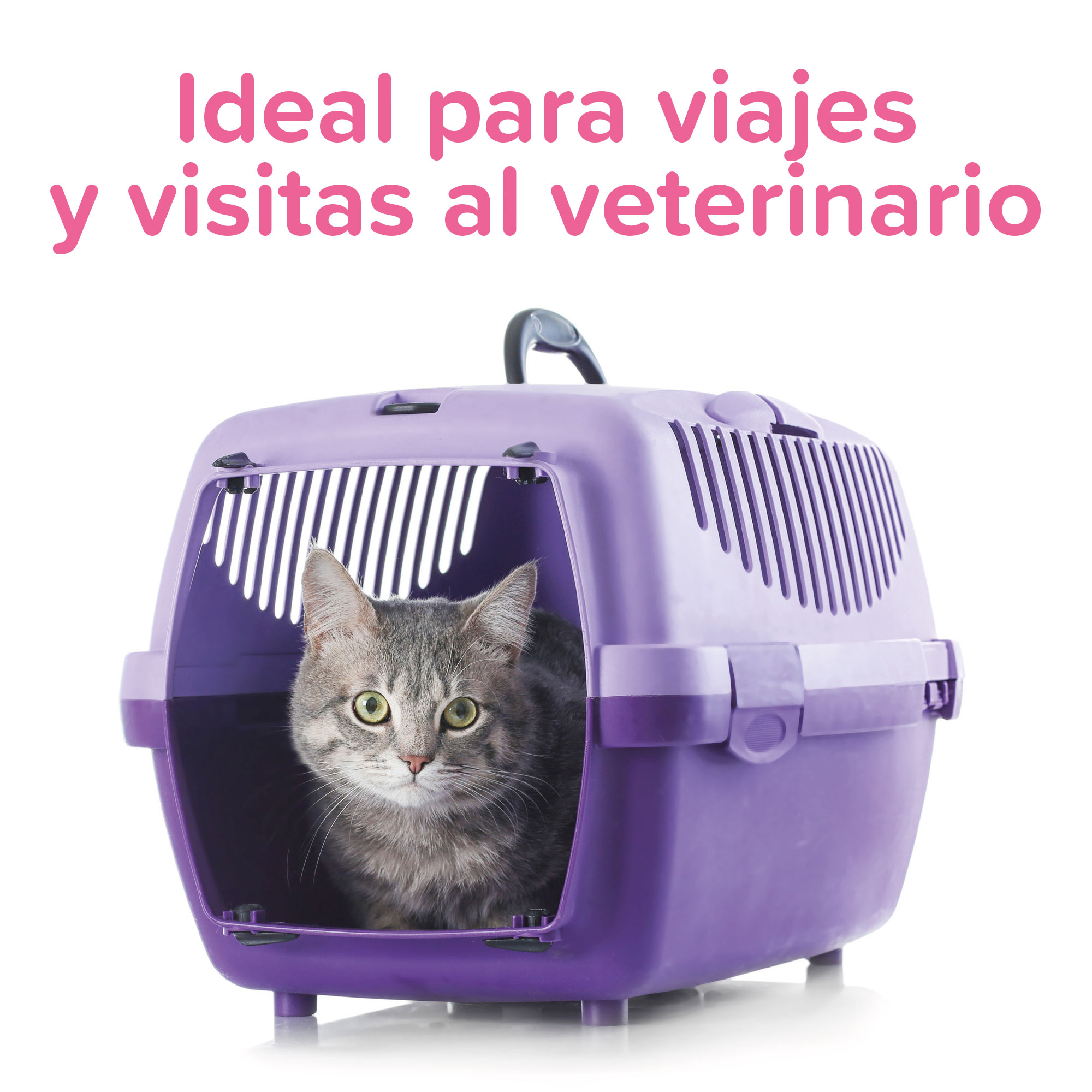 Beaphar Catcomfort® Spray Viaje Gatos - 30ml