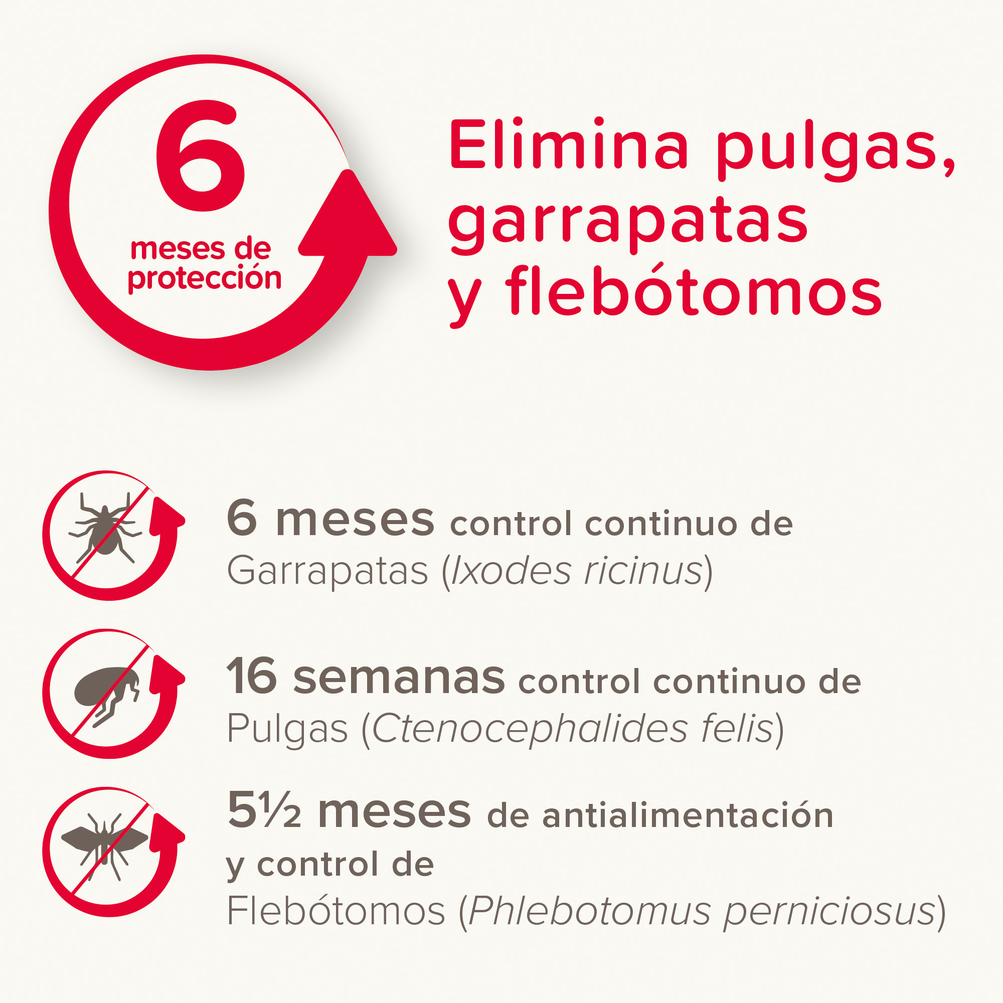 Beaphar Canishield® Collar Antiparasitario Perro Grande - 65cm