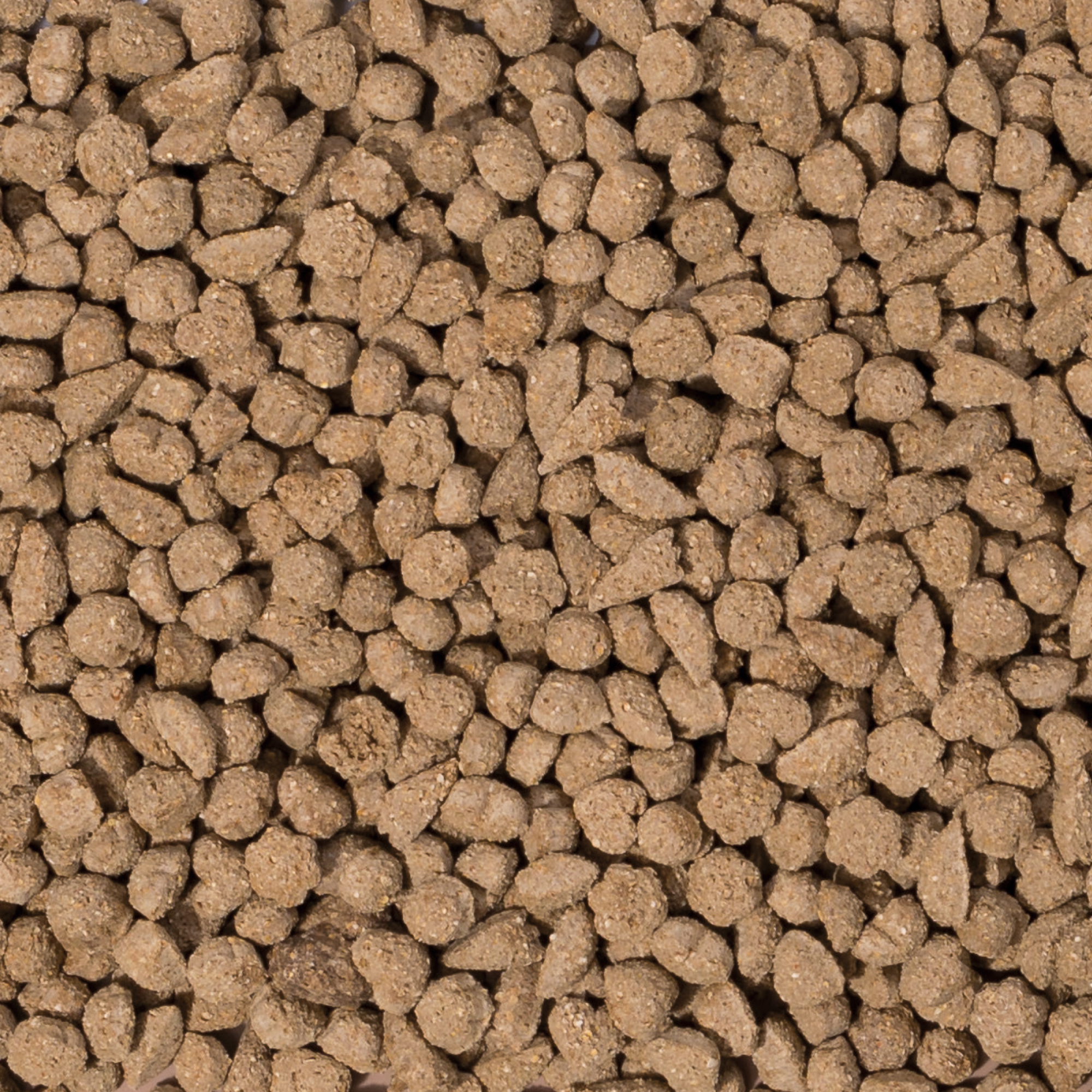 Beaphar Care+ Conejo - 1,5kg