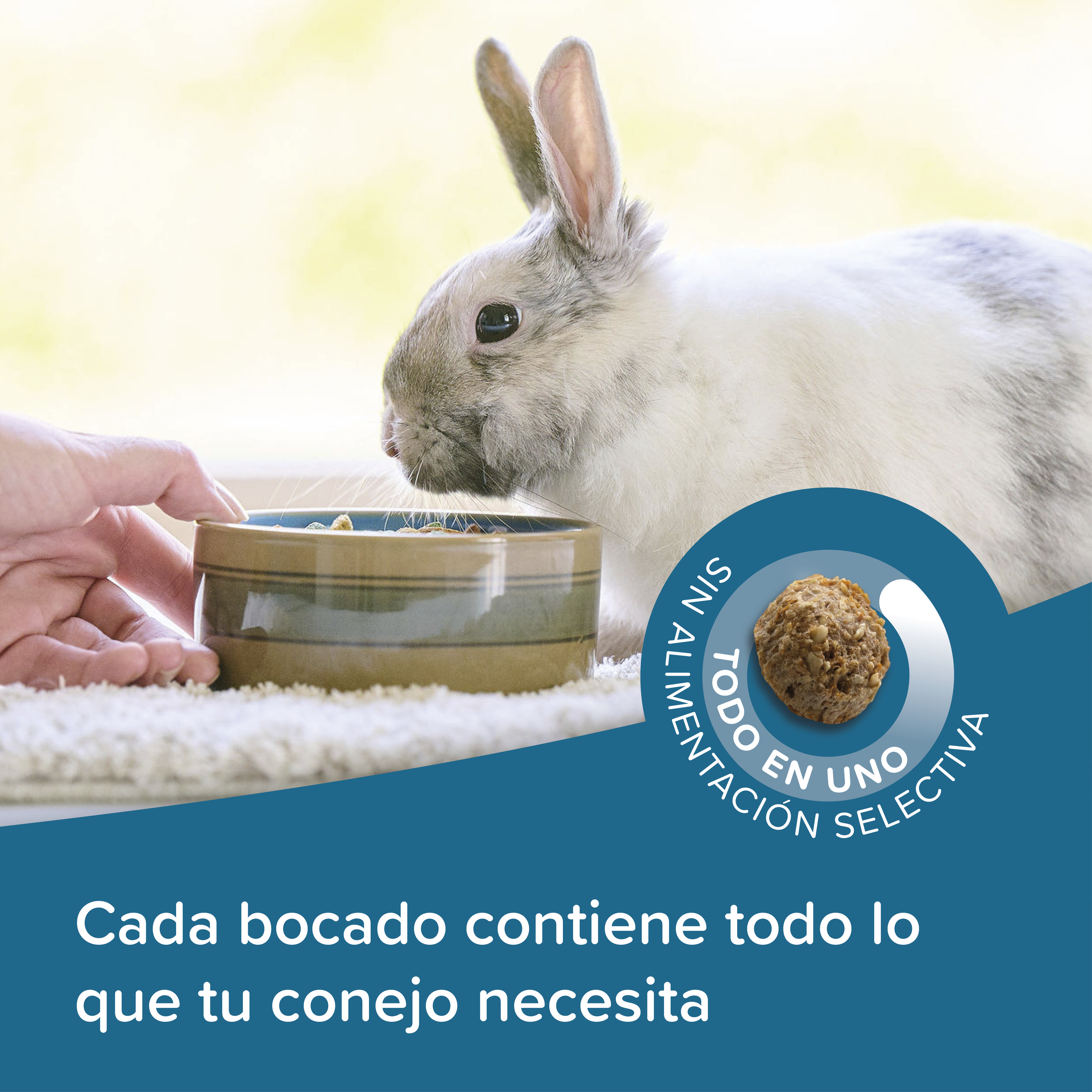 Beaphar Care+ Conejo - 1,5kg