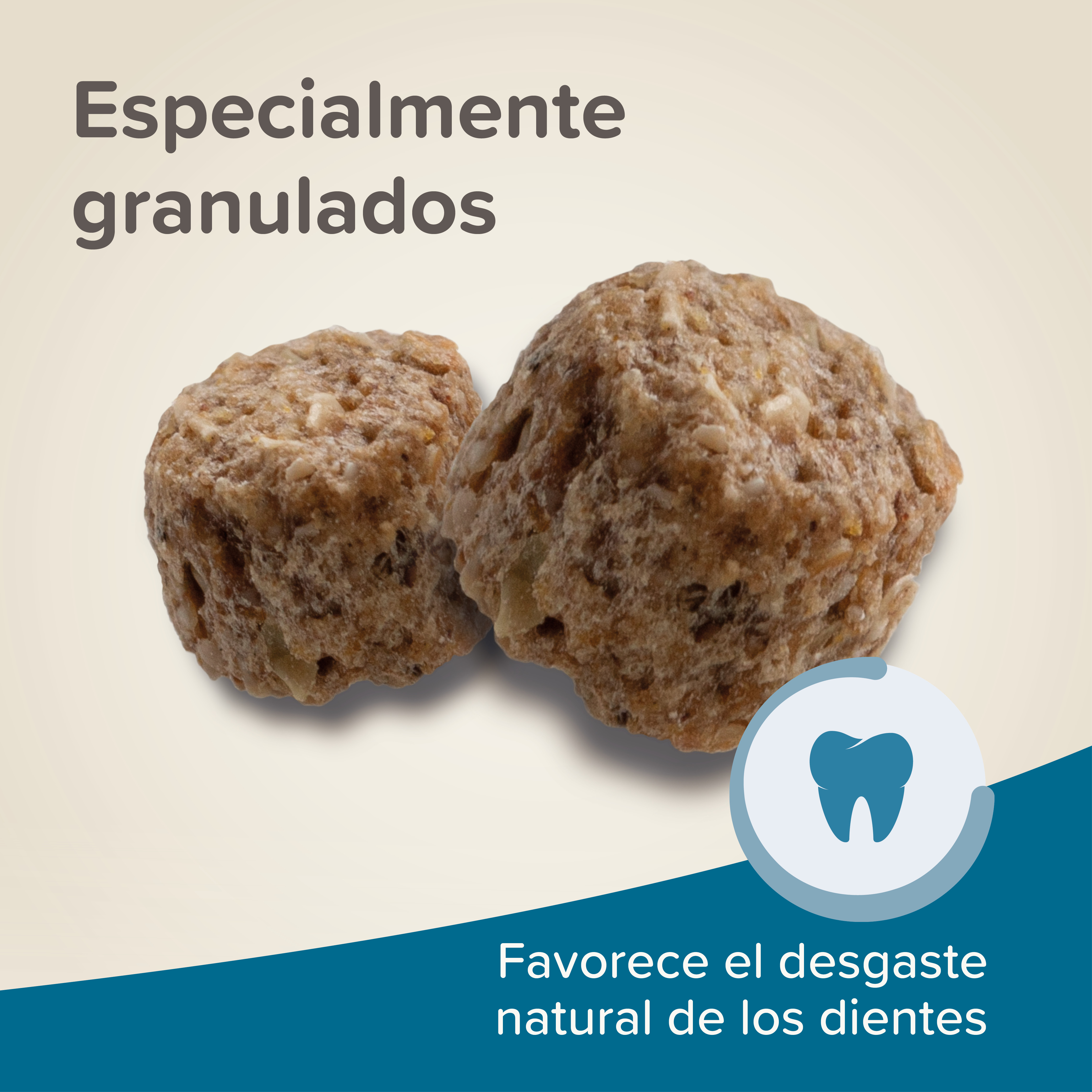 Beaphar Care+ Cobaya - 1,5kg