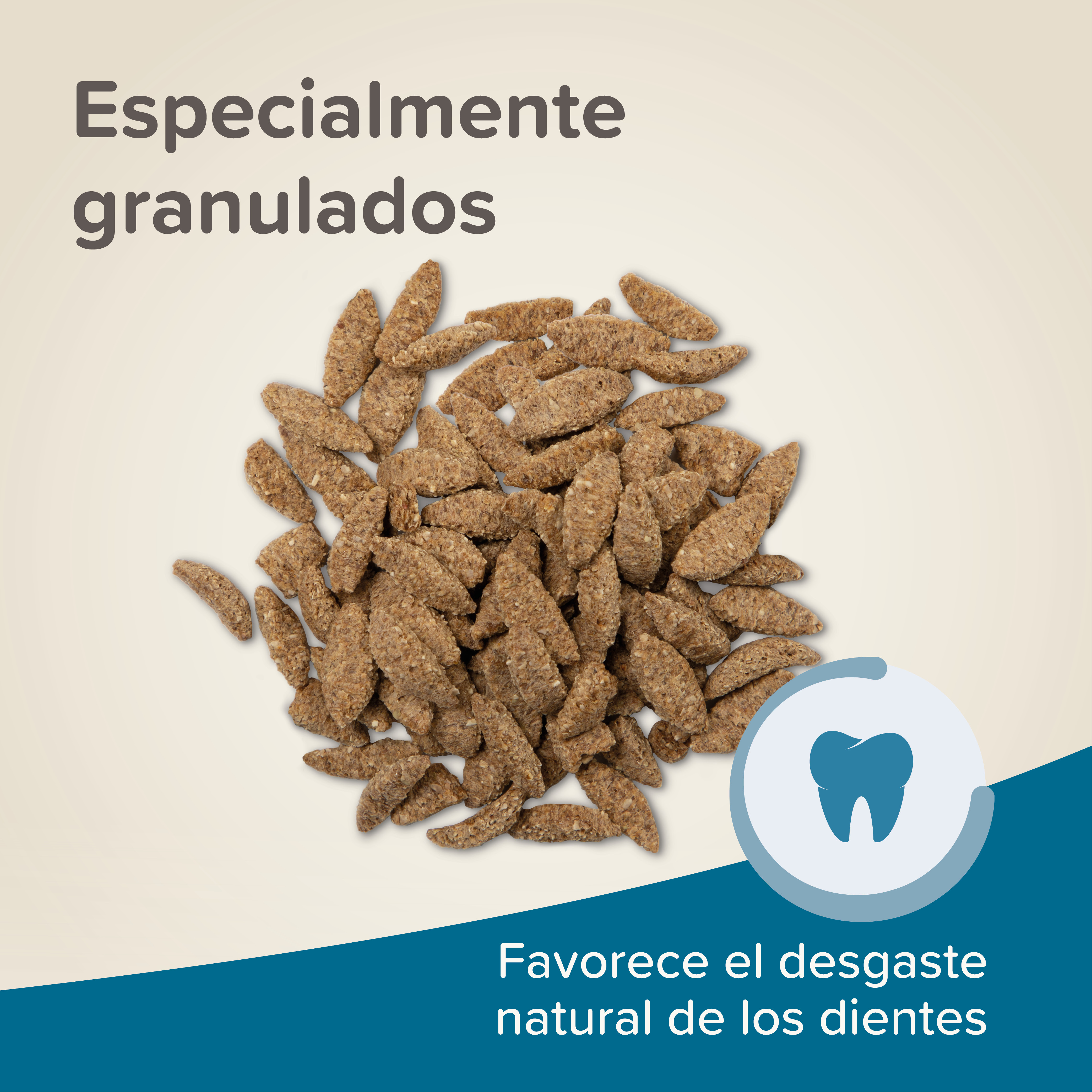 Beaphar Care+ Chinchilla - 1,5kg