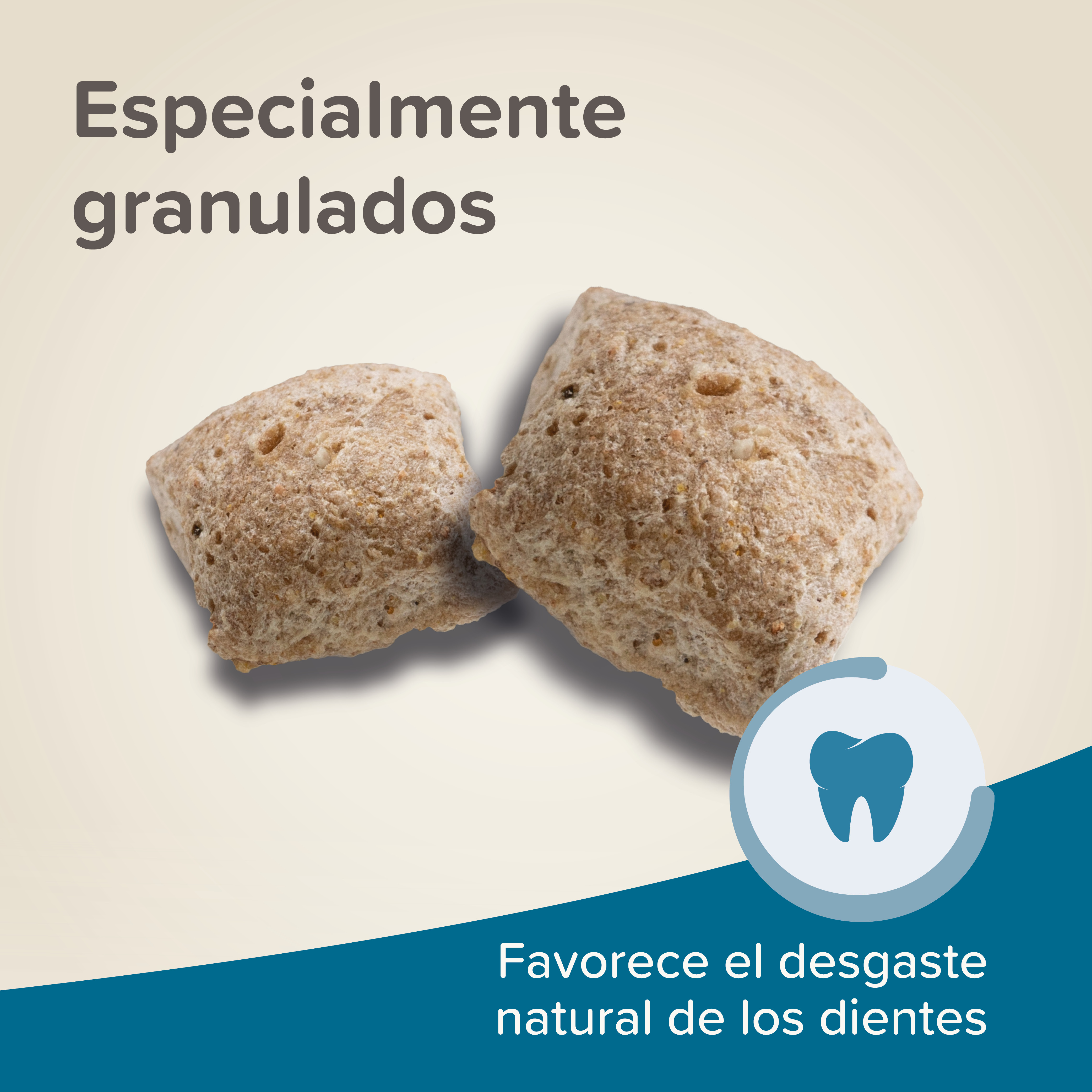 Beaphar Care+ Rata - 1,5kg