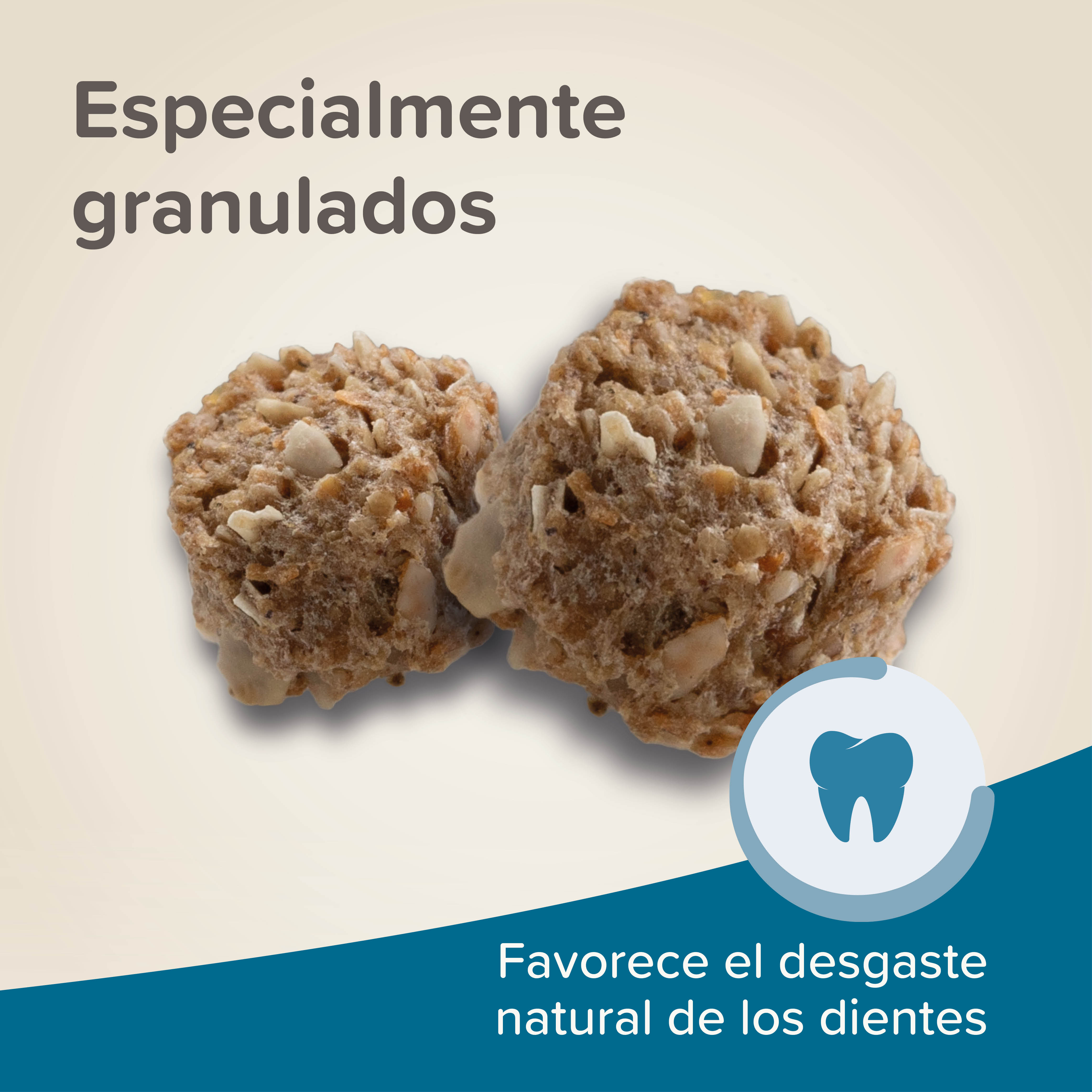 Beaphar Care+ Conejo Junior - 1,5kg