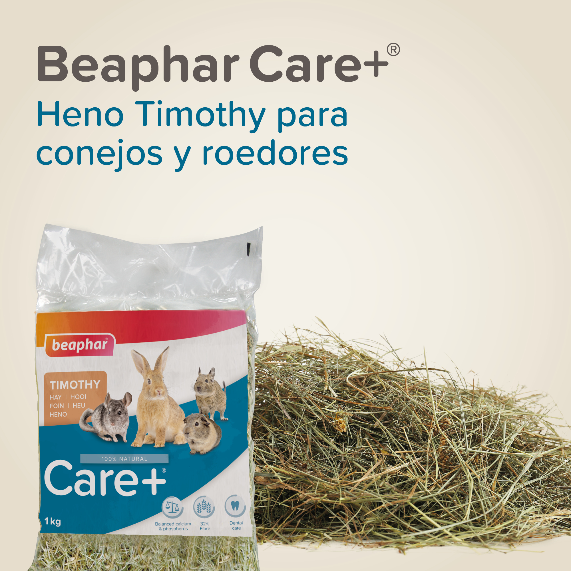 Beaphar Care+ Heno Timothy - 1kg