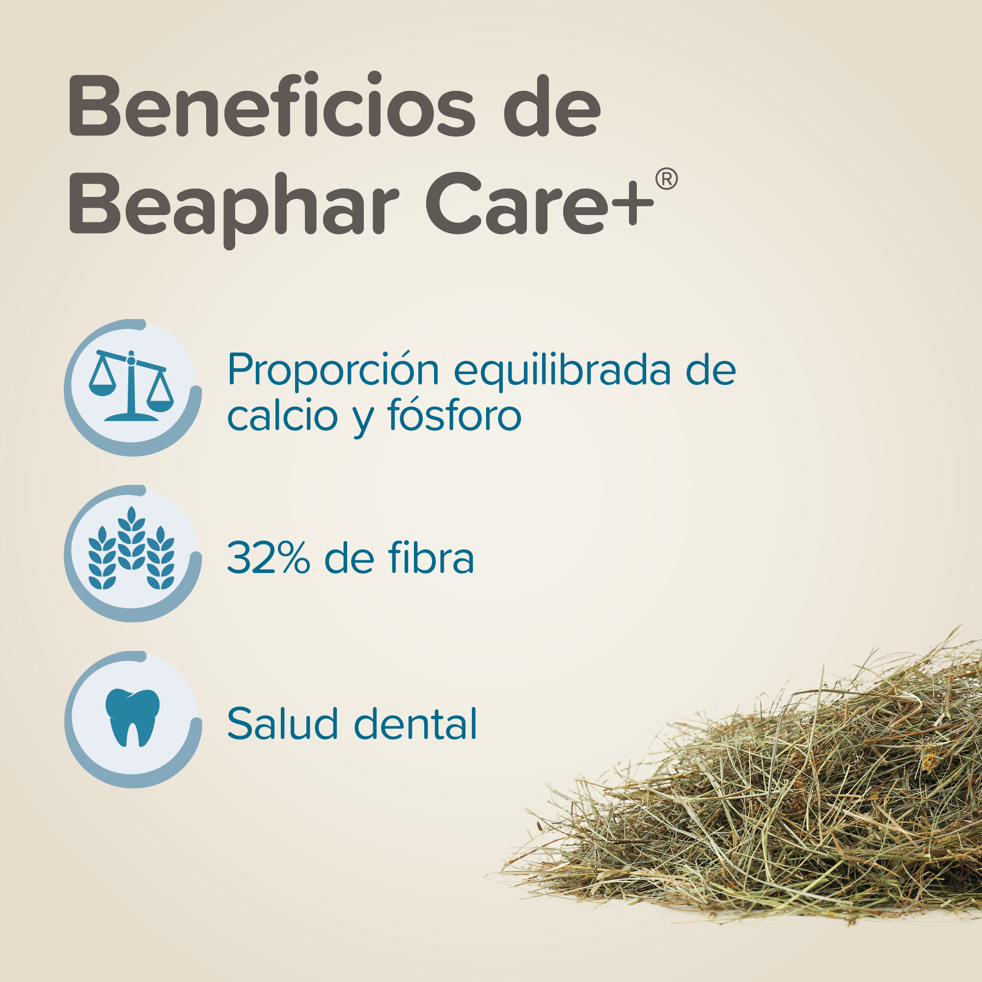 Beaphar Care+ Heno Timothy - 1kg