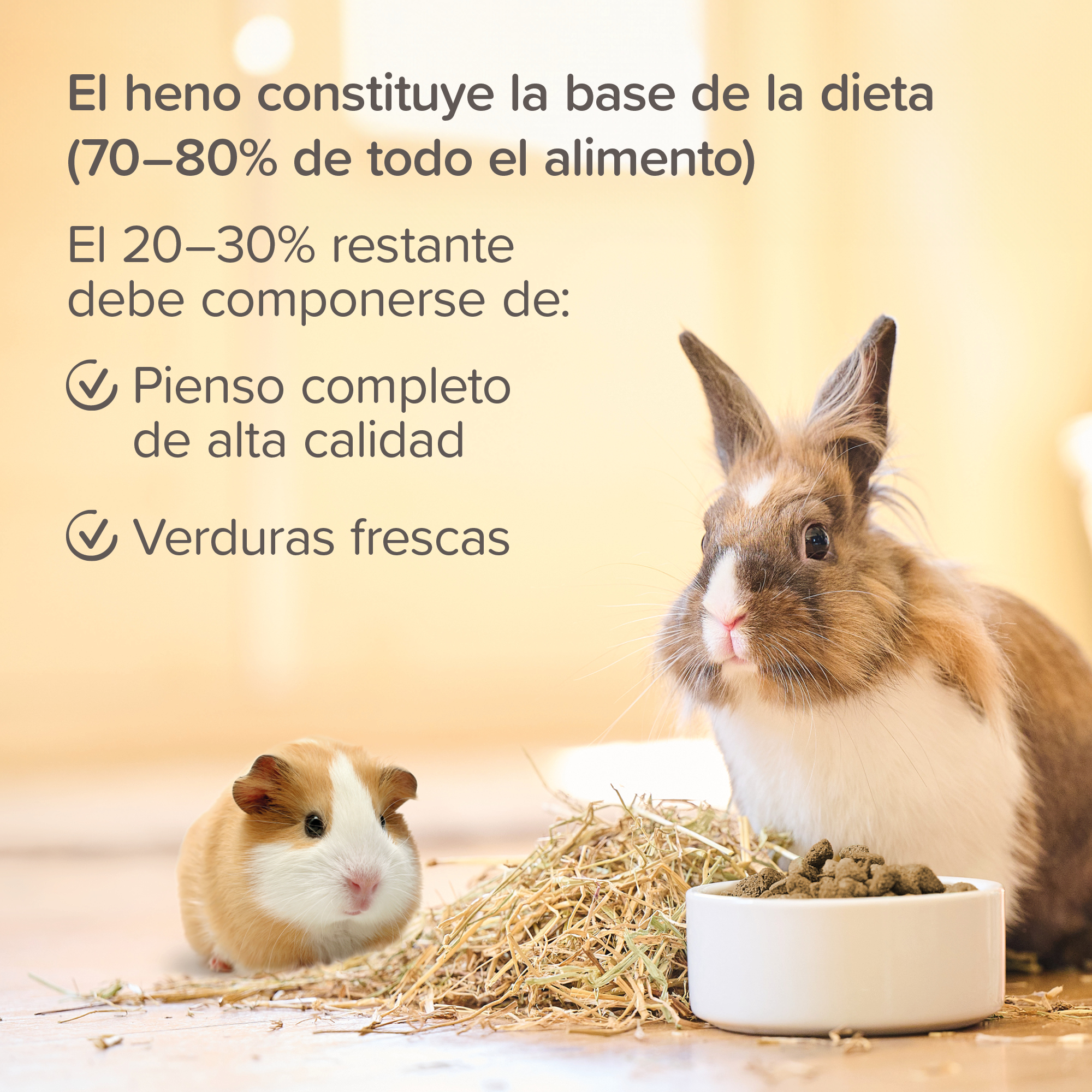 Beaphar Care+ Heno Timothy - 1kg