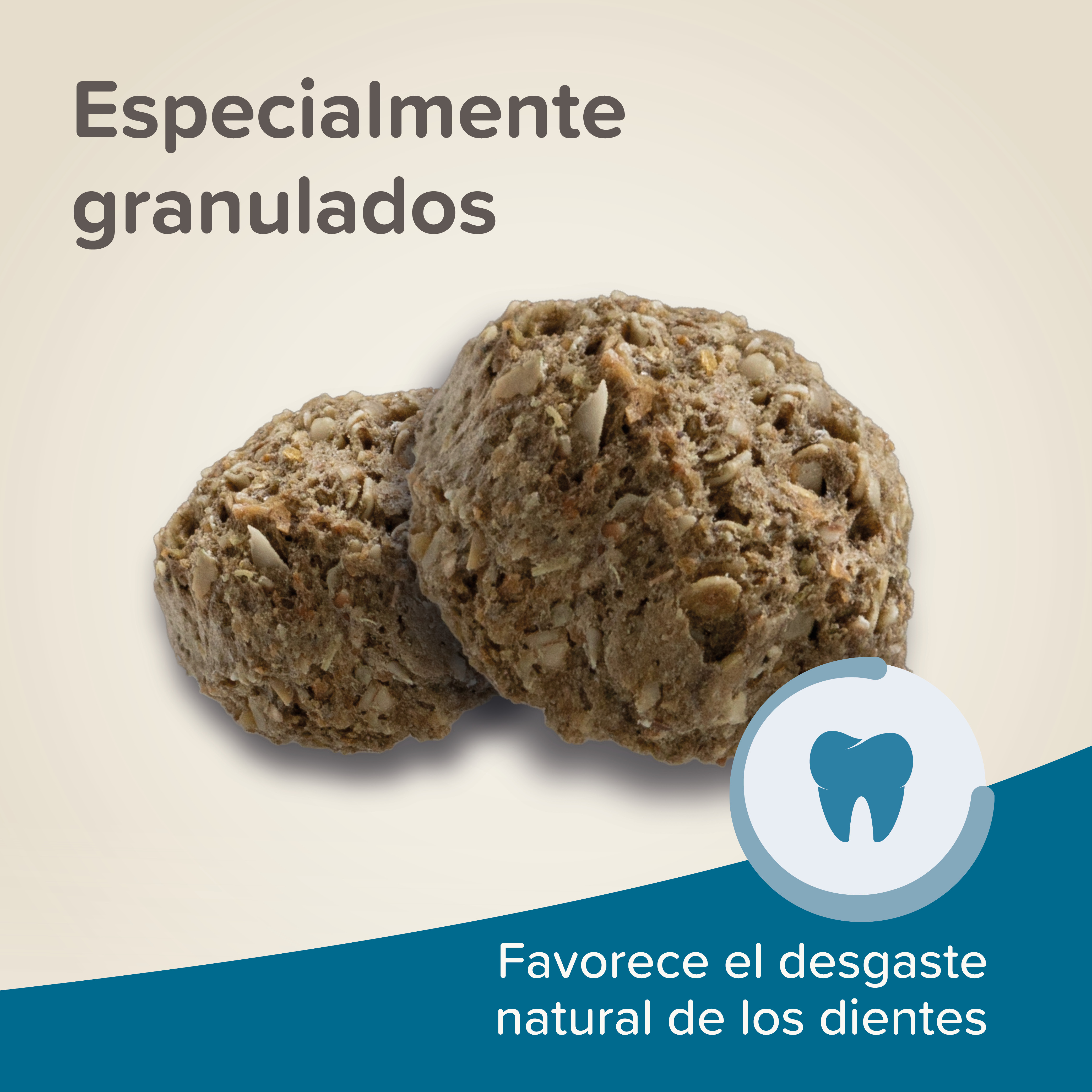 Beaphar Care+ Conejo Senior - 1,5kg