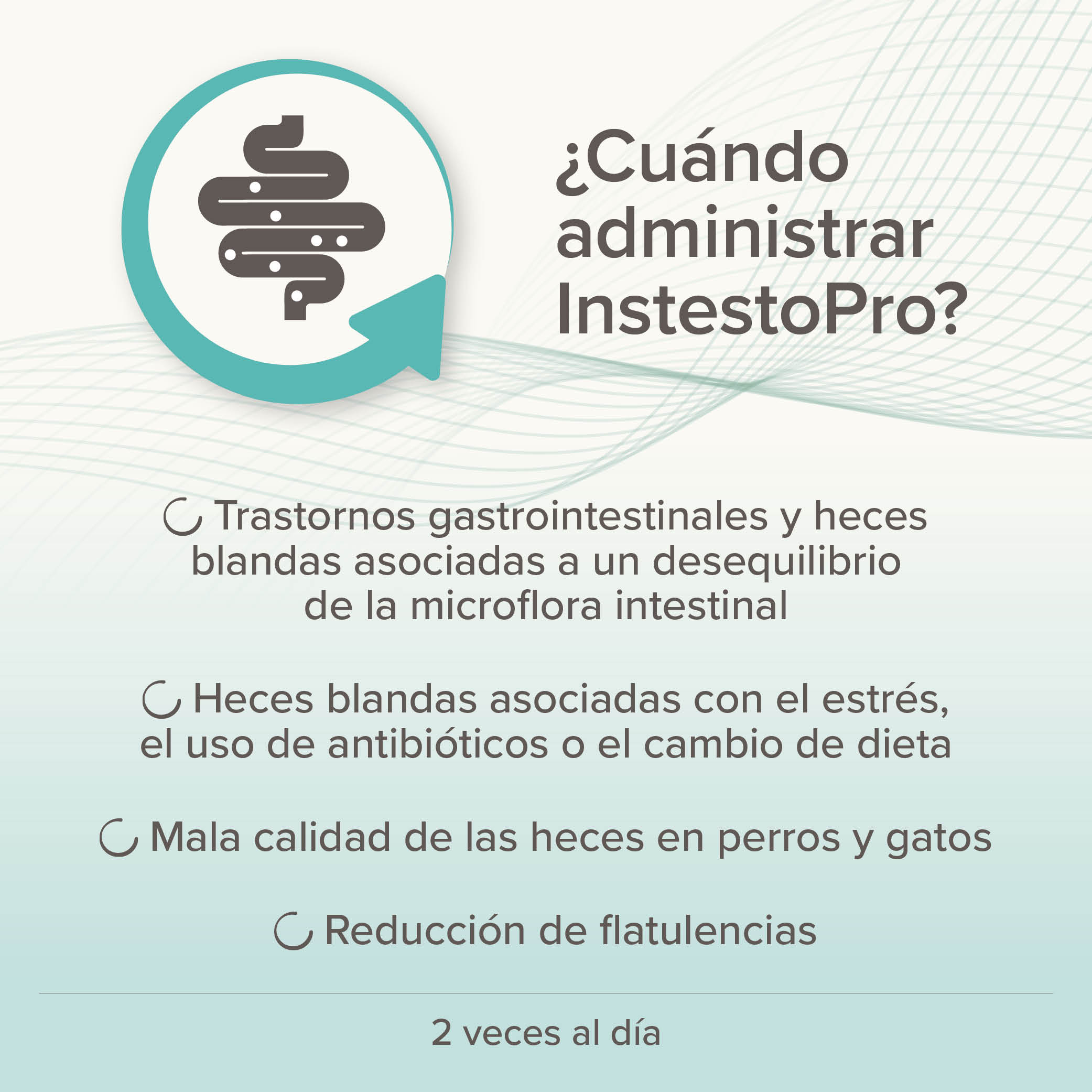 Beaphar IntestoPro Regulador Intestinal en Pasta Cachorros / Perros Pequeños / Gatos - 20ml