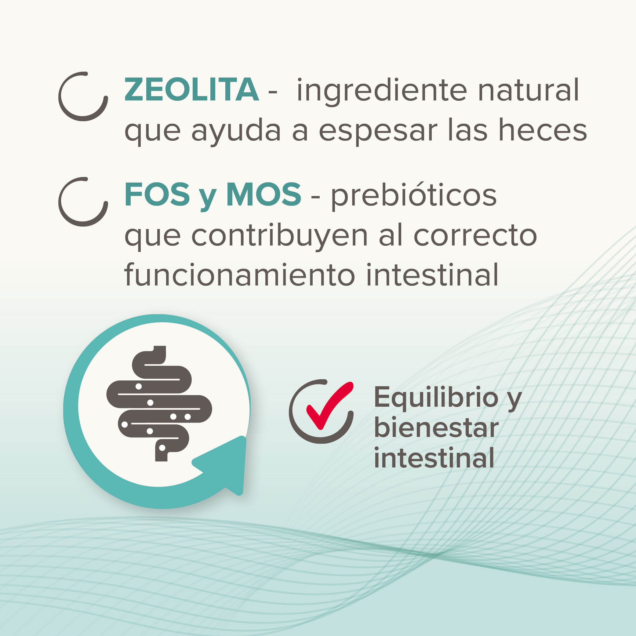 Beaphar IntestoPro Regulador Intestinal en Pasta Perros Grandes - 20ml