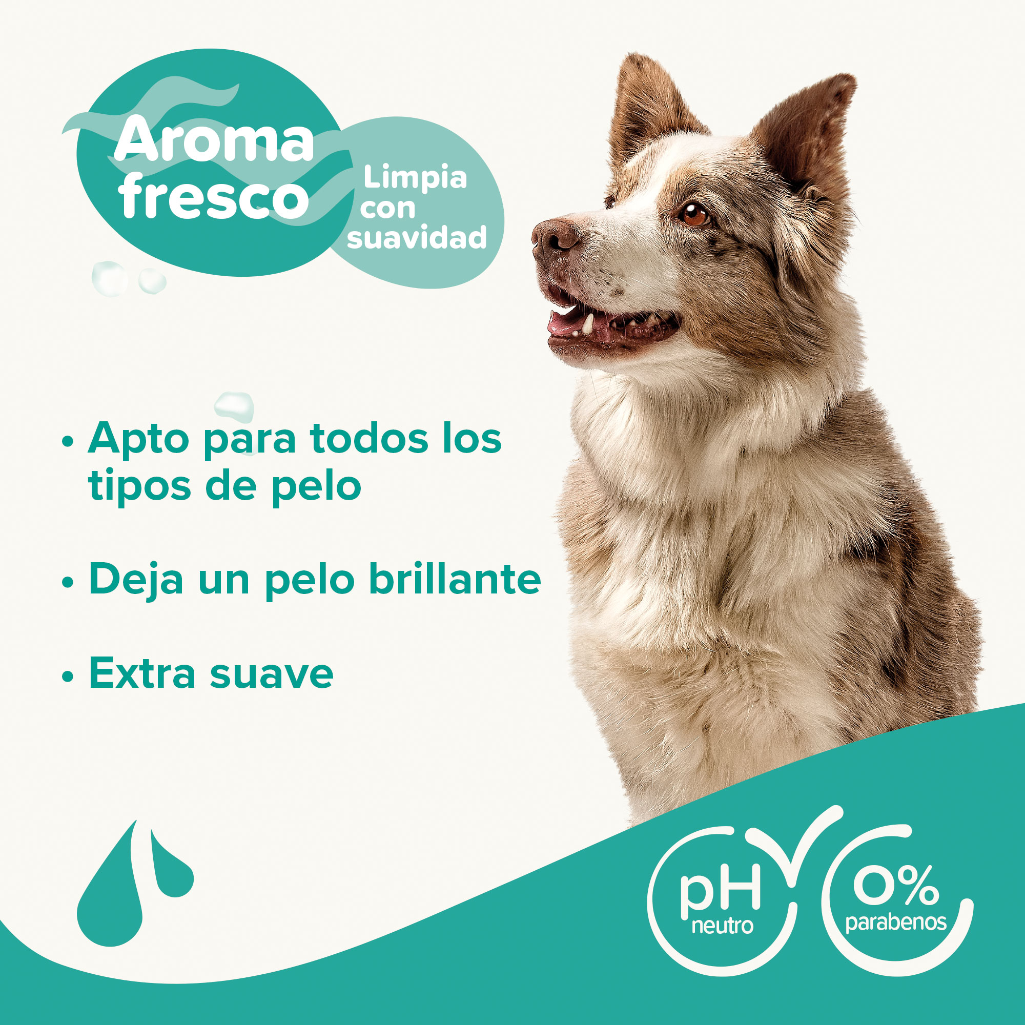 Champú Perros Universal - 1L